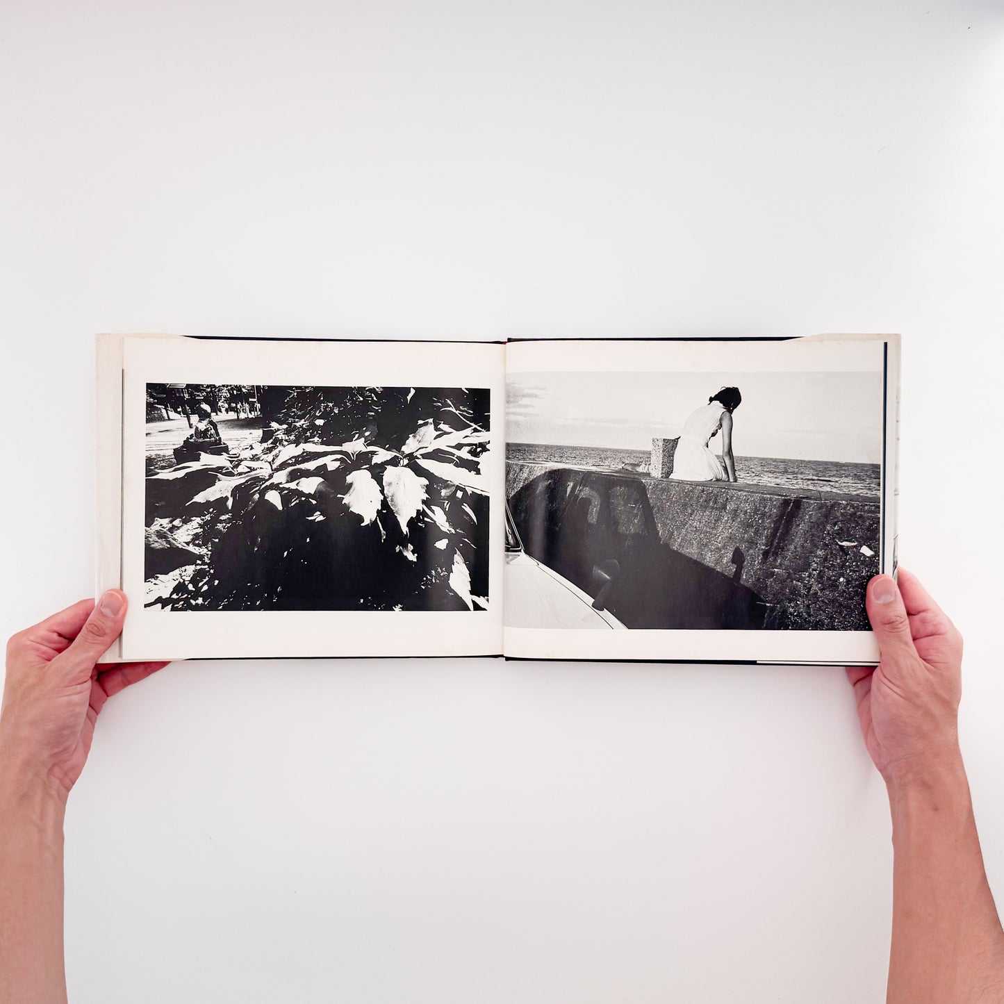 矢口保二: YAGUCHI Yasuji 『風』現代写真研究所刊行、徳島の写真家による没後刊行写真集
