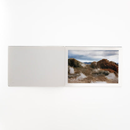 畠山直哉　A BIRD, BLAST 130 - Taka Isii Gallery - 文福
