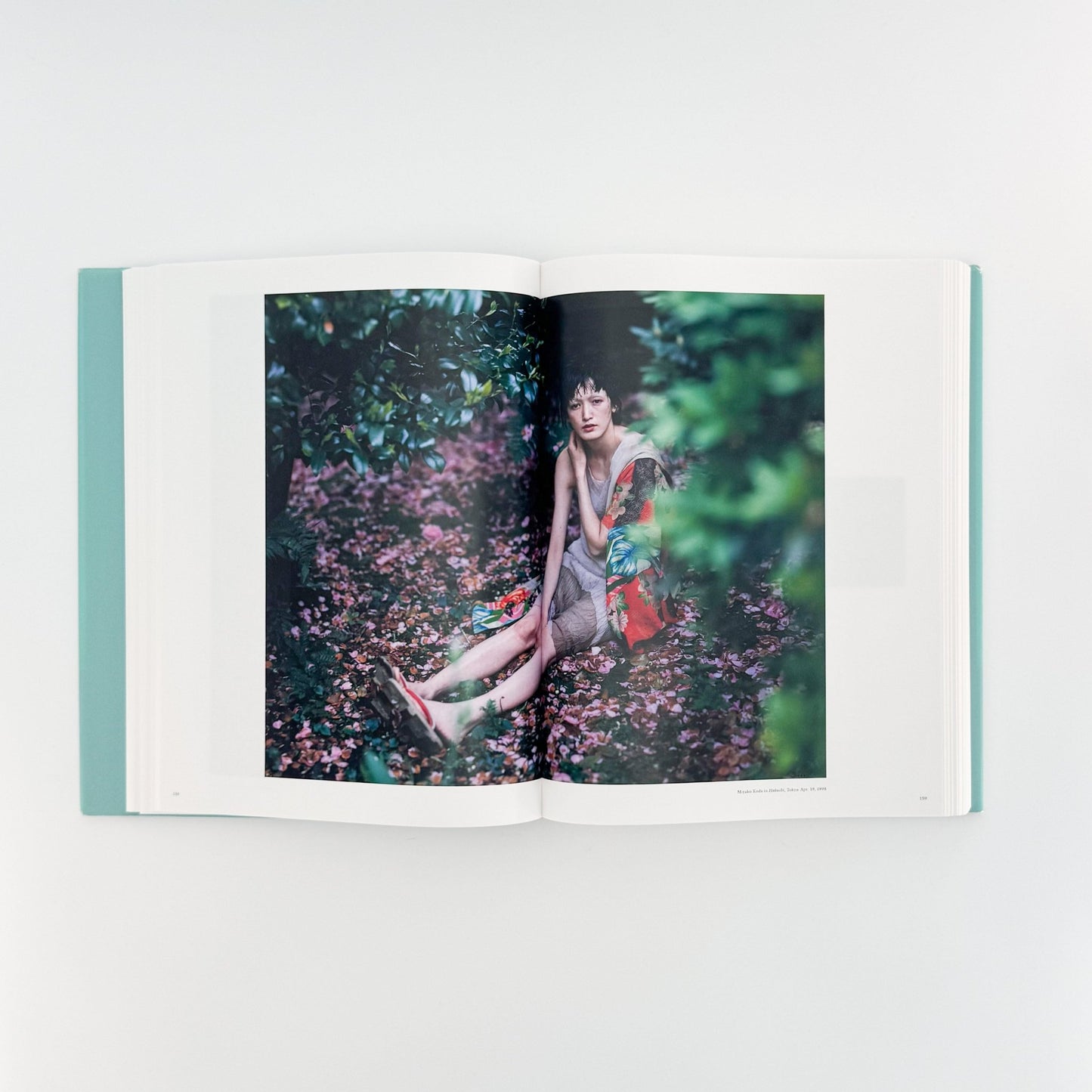 A Life with Camera YOSHIHIKO UEDA（サイン入り） - 上田義彦 / UEDA Yoshihiko - 文福