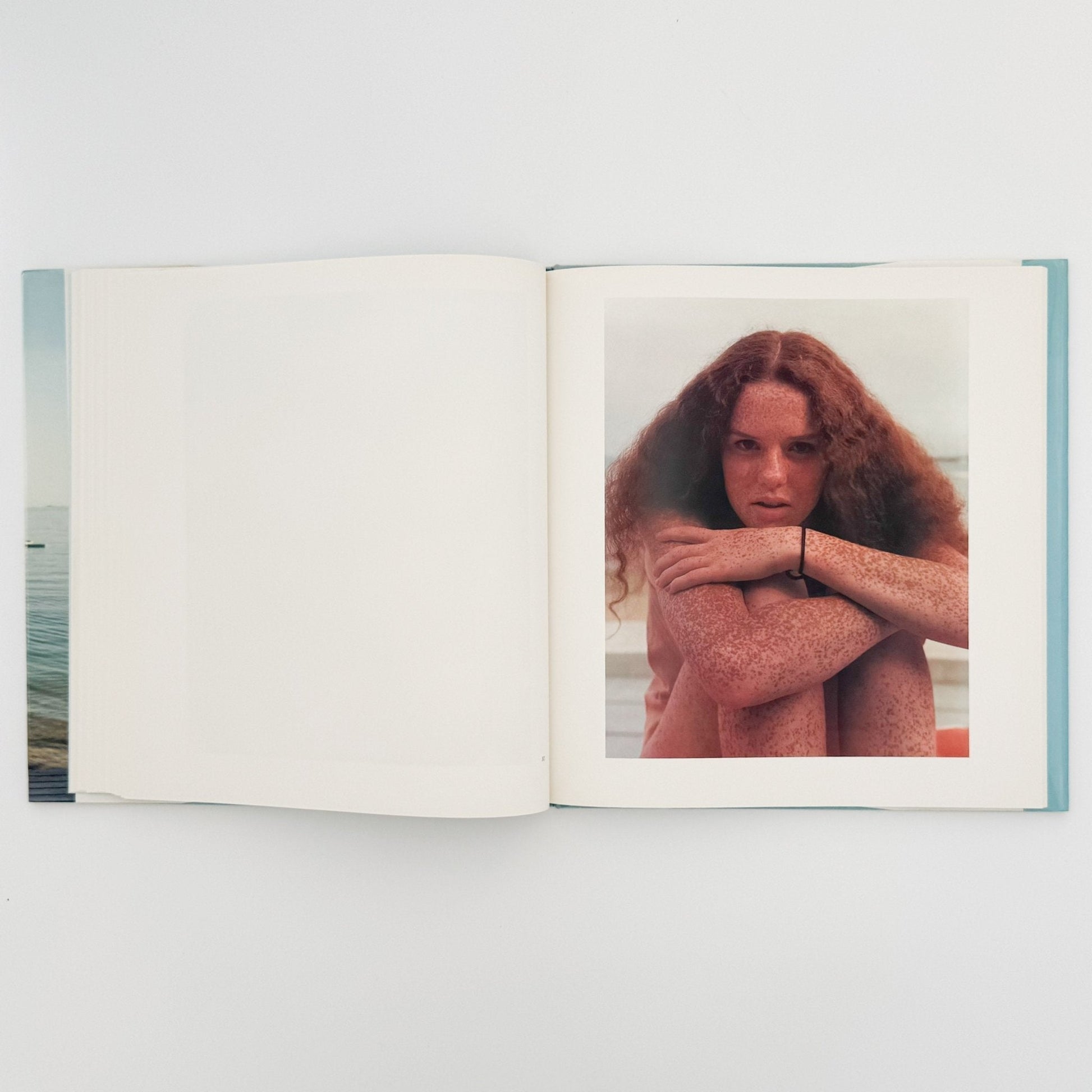 ジョエル・マイヤーウィッツ　A Summer’s Day（リブロポート版） - リブロポート - 文福