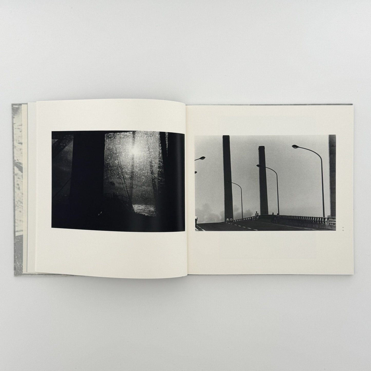 柳沢信　Untitled - roshin books - 文福