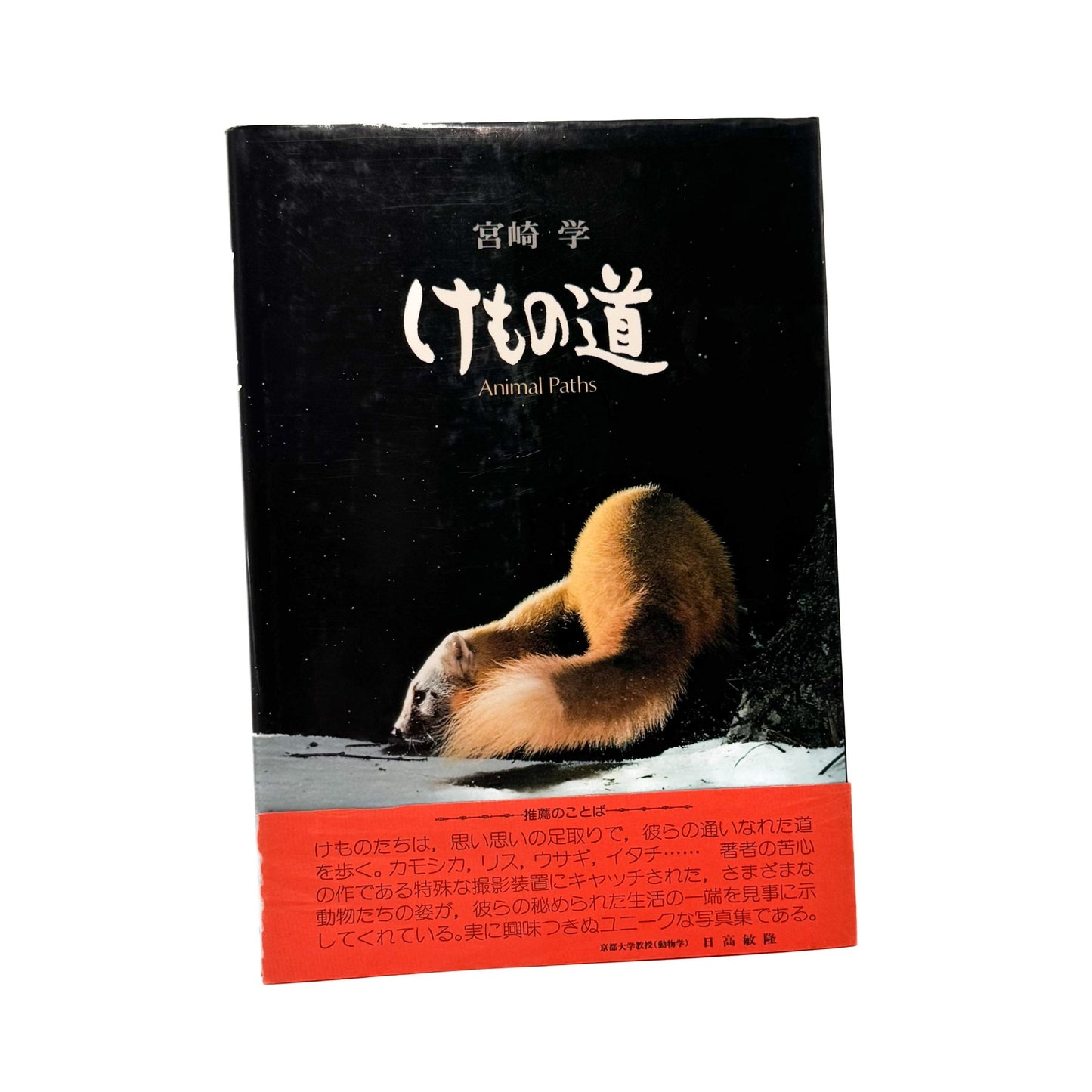 宮崎学　けもの道　Animal Paths - 宮崎学 / MIYAZAKI Manabu - 文福