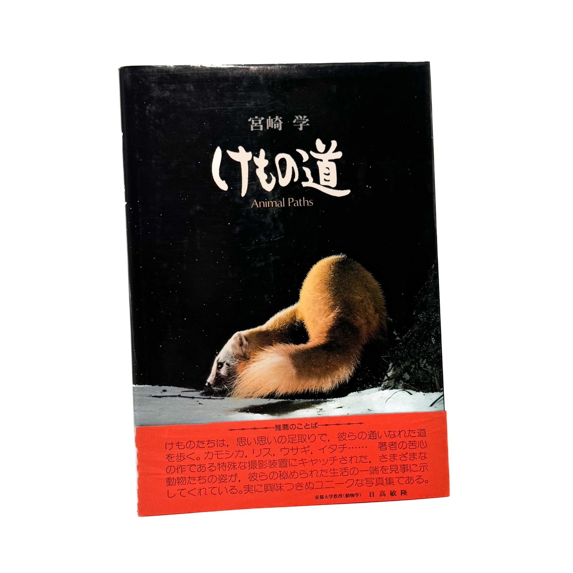 宮崎学　けもの道　Animal Paths - 宮崎学 / MIYAZAKI Manabu - 文福
