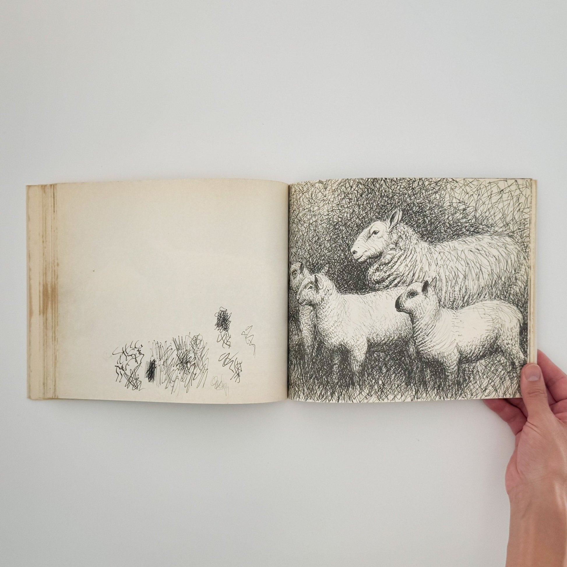 ヘンリー・ムーア　羊のスケッチブック Henry Moore's Sheep Sketchbook - 文福