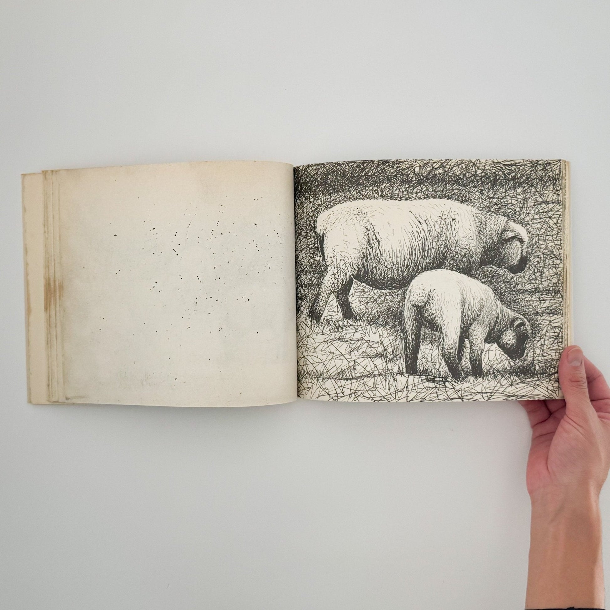 ヘンリー・ムーア　羊のスケッチブック Henry Moore's Sheep Sketchbook - 文福
