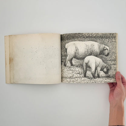 ヘンリー・ムーア　羊のスケッチブック Henry Moore's Sheep Sketchbook - 文福