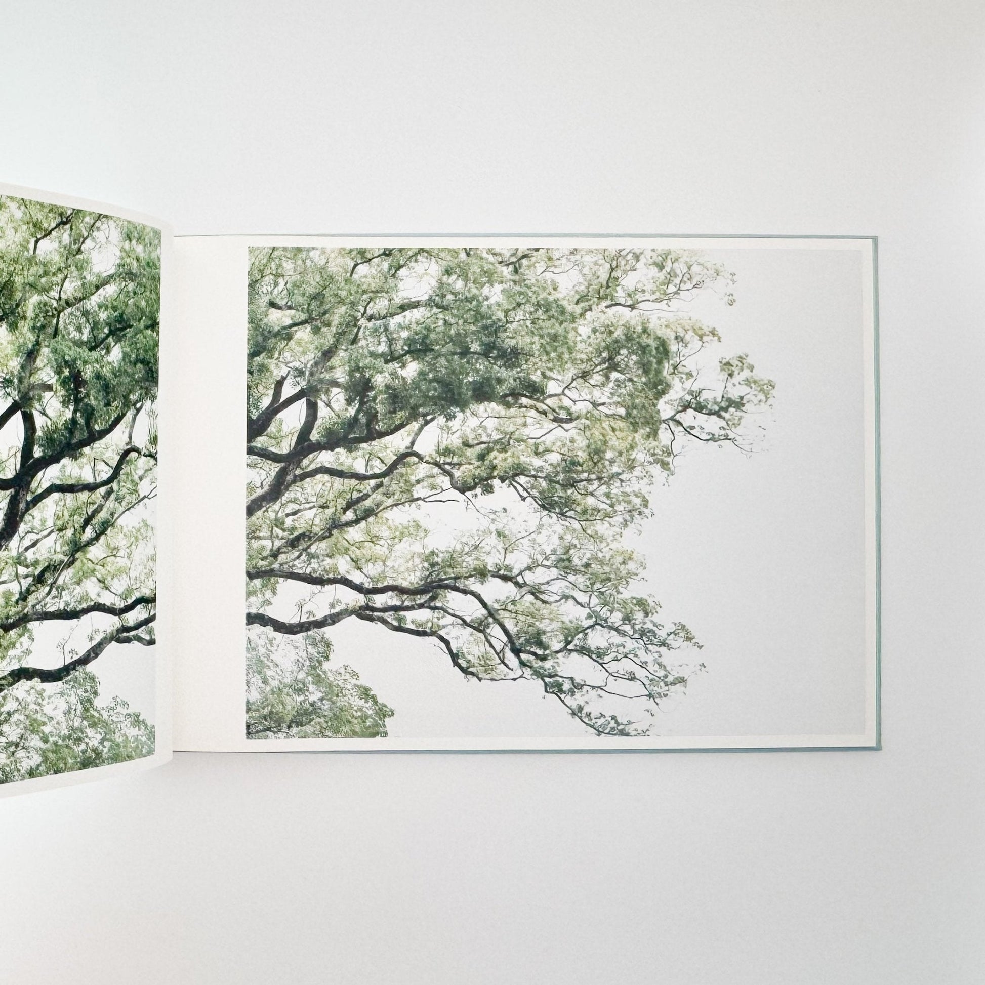 鈴木理策　海と山のあいだ Between the Sea and the Mountain – Kumano（サイン入り） - アマナサルト - 文福