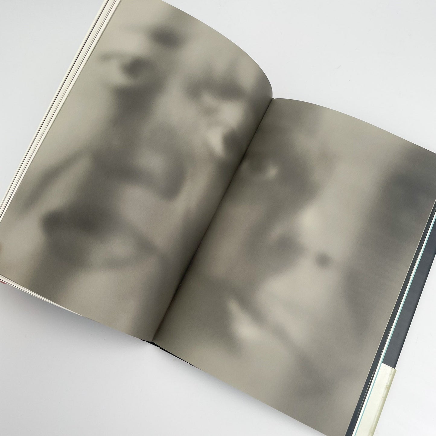 オノデラユキ　カメラキメラ cameraChimera - 水声社 - 文福