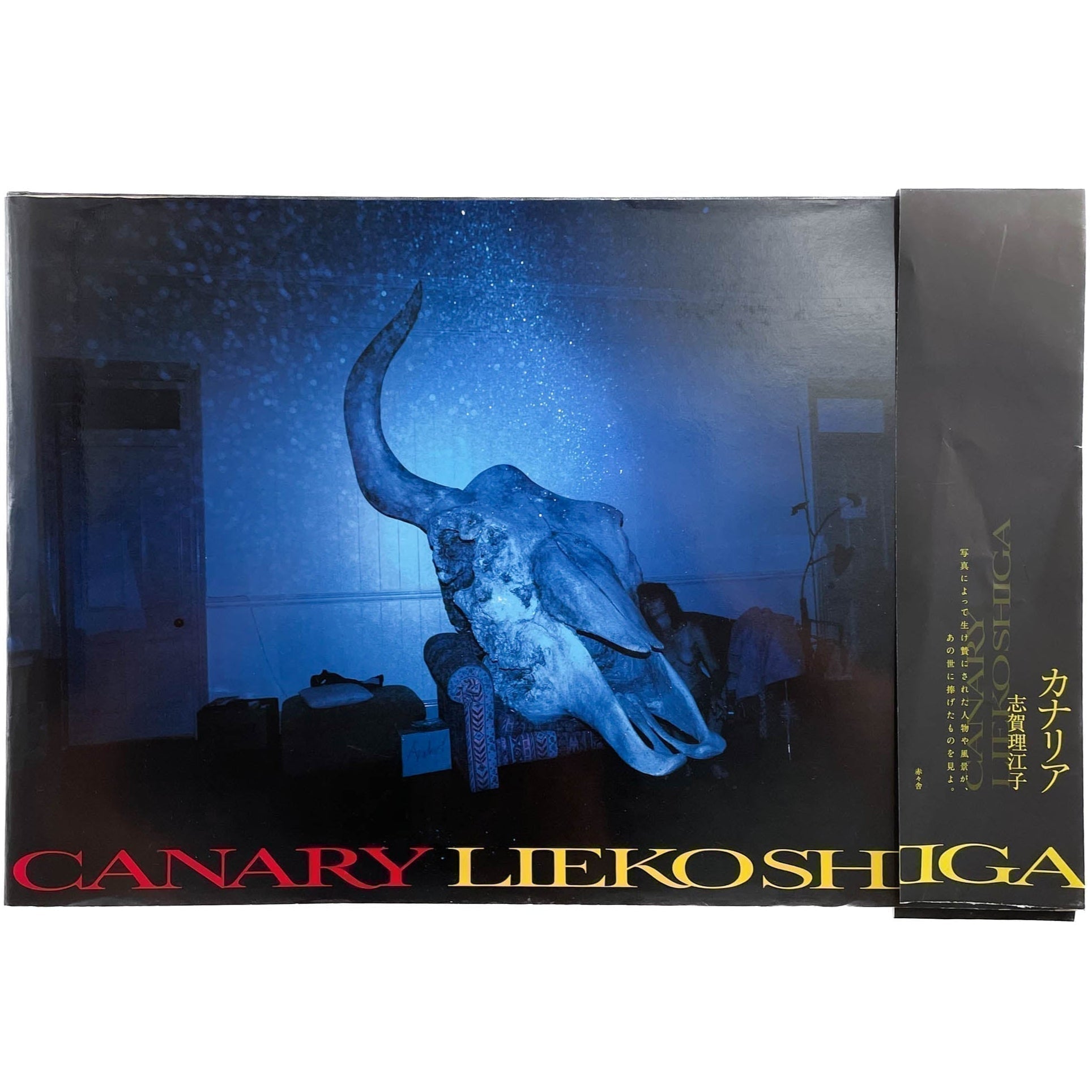 志贺理江子摄影集《金丝雀》Lieko Shiga: Canary / 赤赤舍– 文福