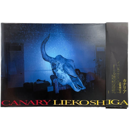 志賀理江子　カナリア / Canary - 赤々舎 - 文福