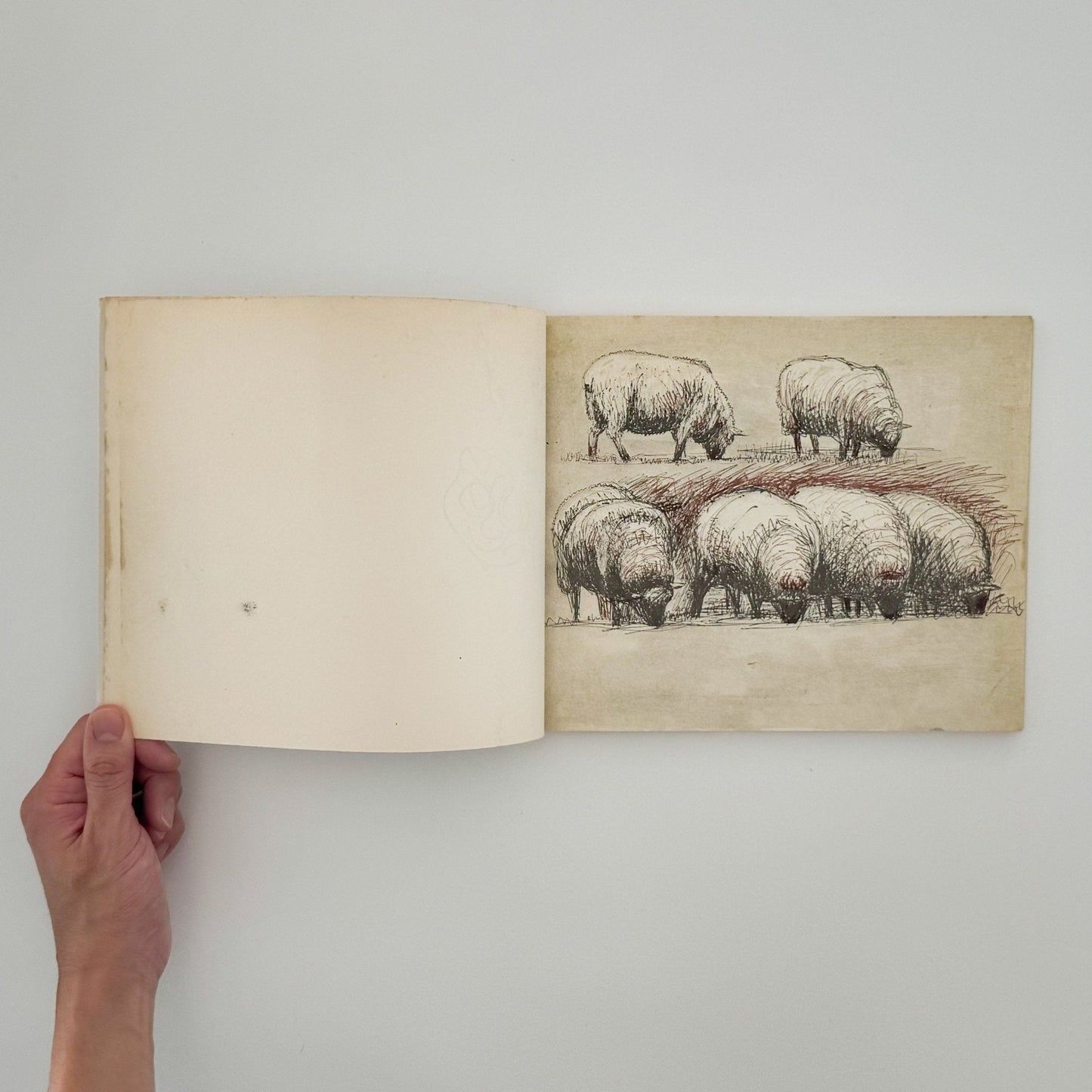 ヘンリー・ムーア　羊のスケッチブック Henry Moore's Sheep Sketchbook - 文福