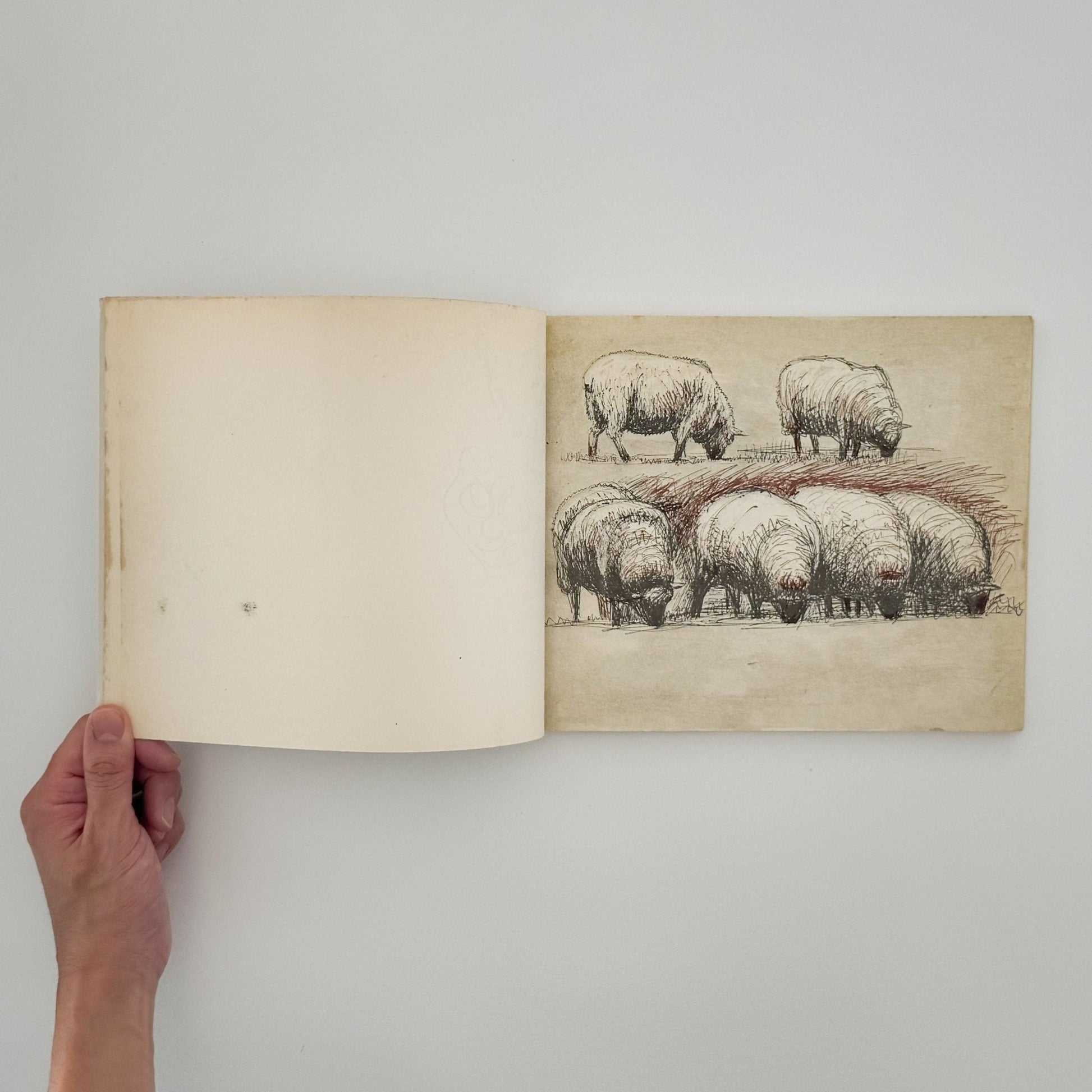 ヘンリー・ムーア　羊のスケッチブック Henry Moore's Sheep Sketchbook - 文福