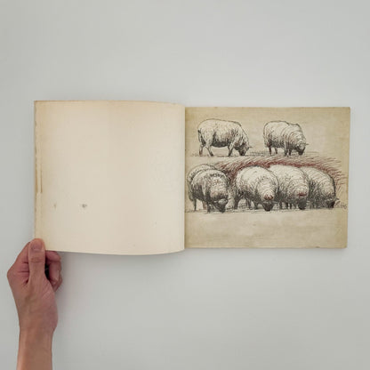 ヘンリー・ムーア　羊のスケッチブック Henry Moore's Sheep Sketchbook - 文福