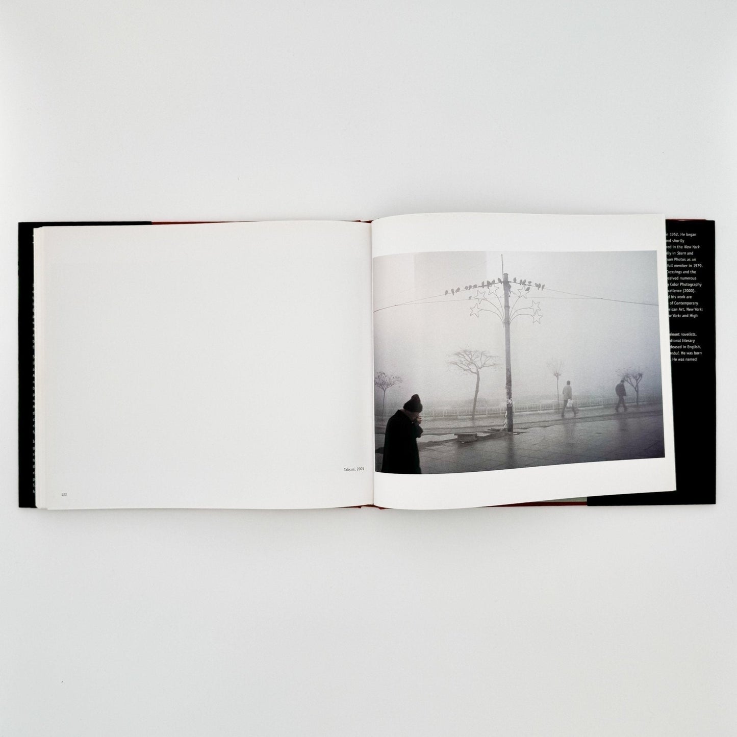 (英文）アレックス・ウェブ　Alex Webb: Istanbul City of a Hundred Names - Aperture - 文福