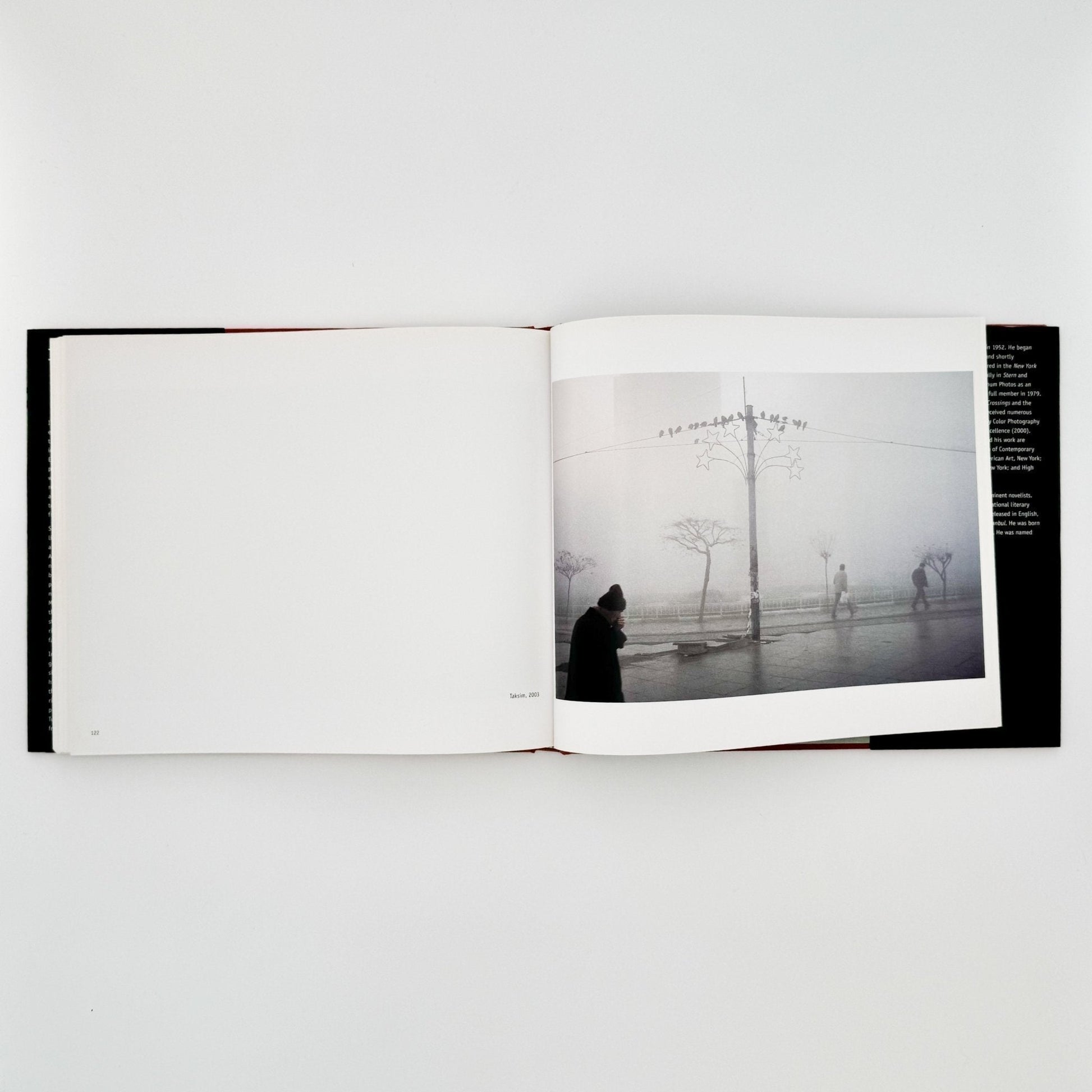 (英文）アレックス・ウェブ　Alex Webb: Istanbul City of a Hundred Names - Aperture - 文福