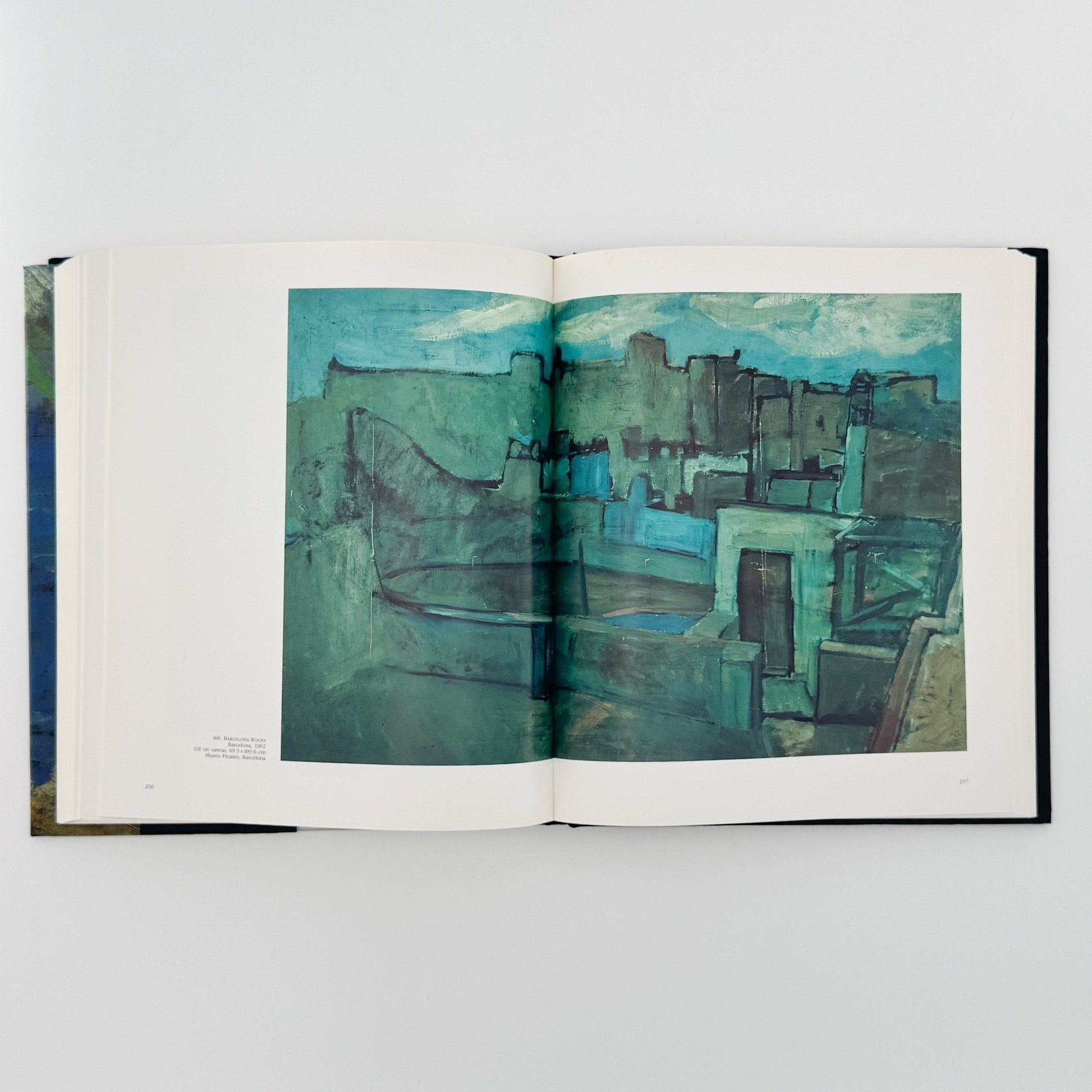 (英文)ピカソの風景画: PICASSO Landscapes 1890 - 1912 - Bulfinch Press - 文福