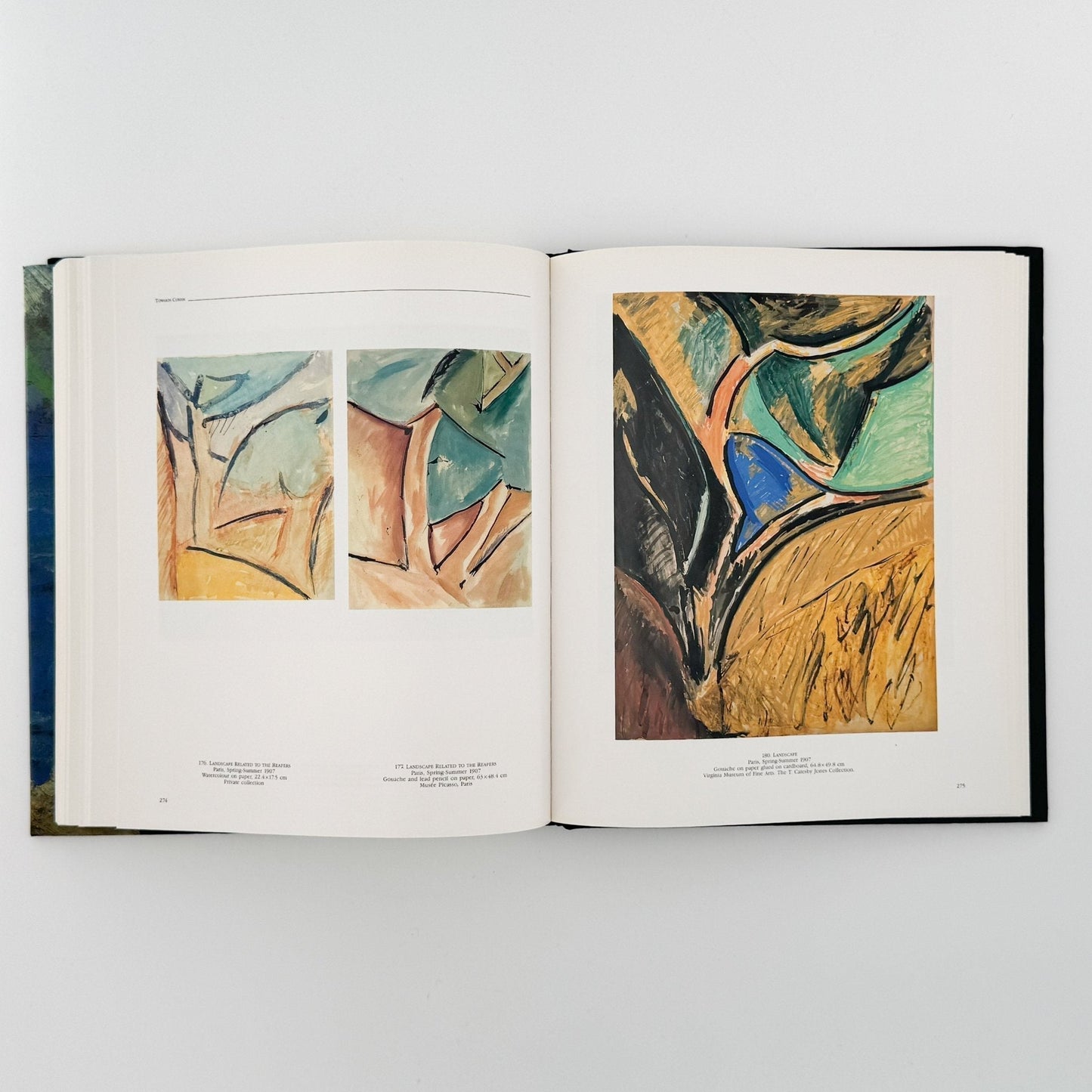 (英文)ピカソの風景画: PICASSO Landscapes 1890 - 1912 - Bulfinch Press - 文福