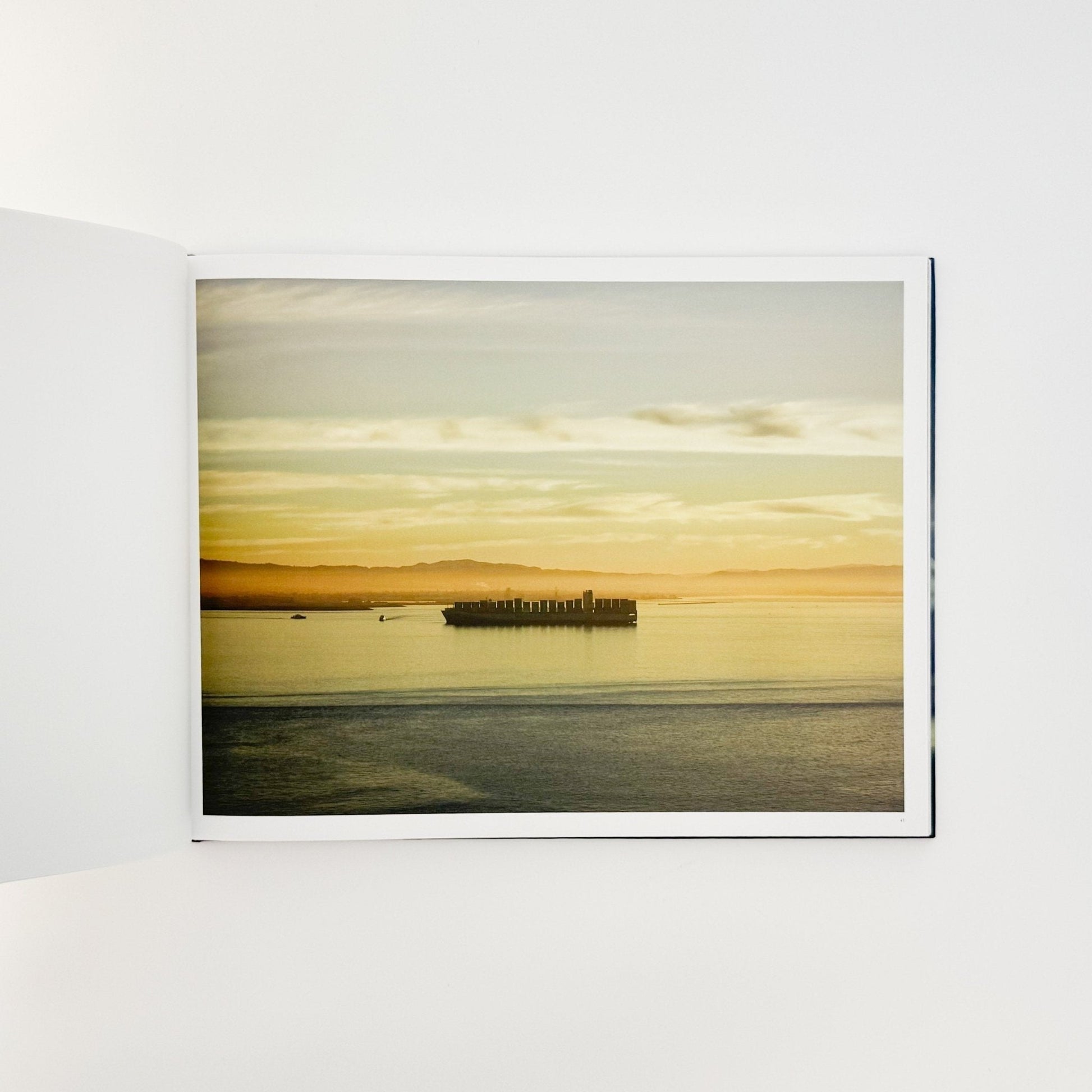 （英文）リチャード・ミズラック　カーゴ　Richard Misrach: Cargo - Aperture - 文福