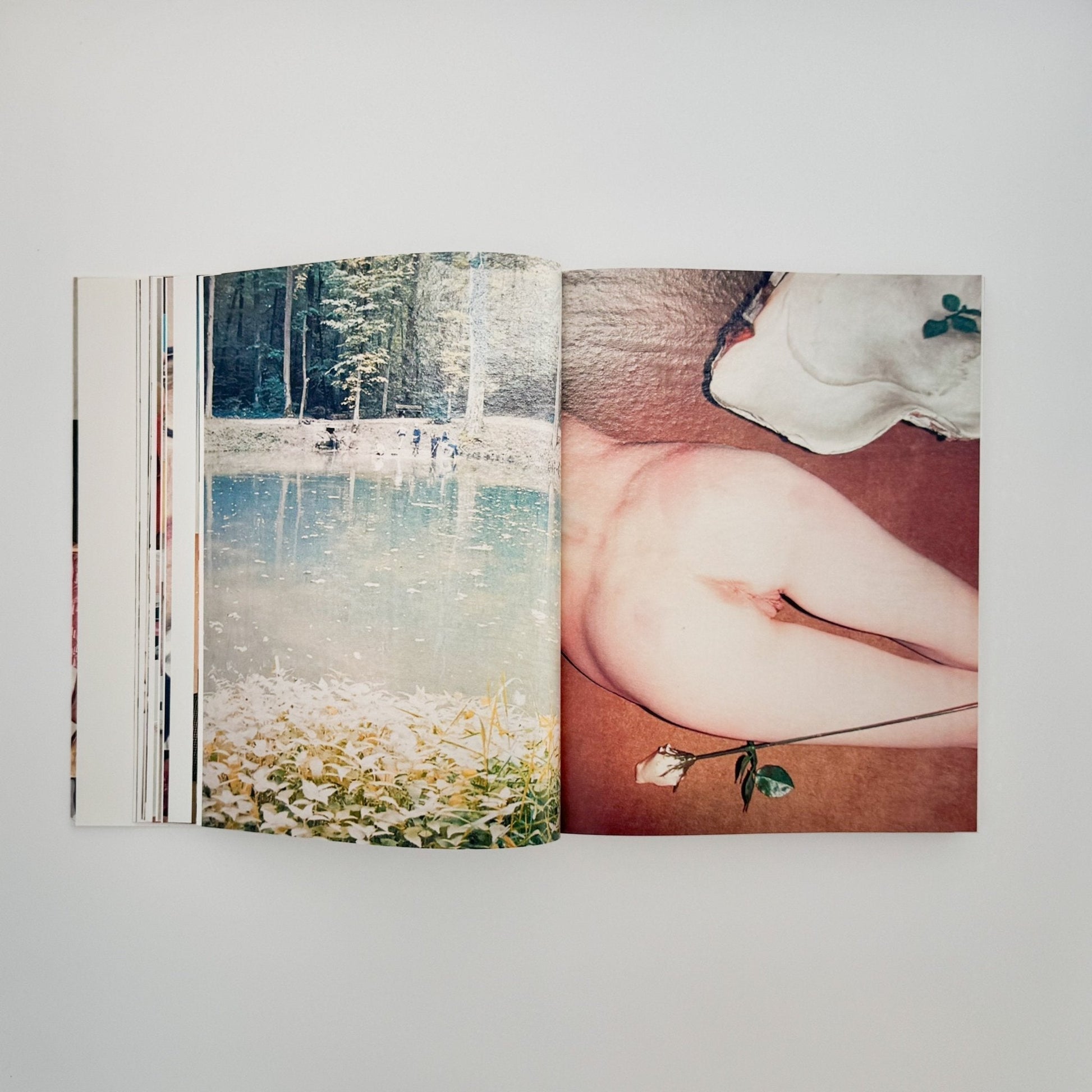 (英文) ユルゲン・テラー Juergen TELLER　Woo! - Steidl - 文福