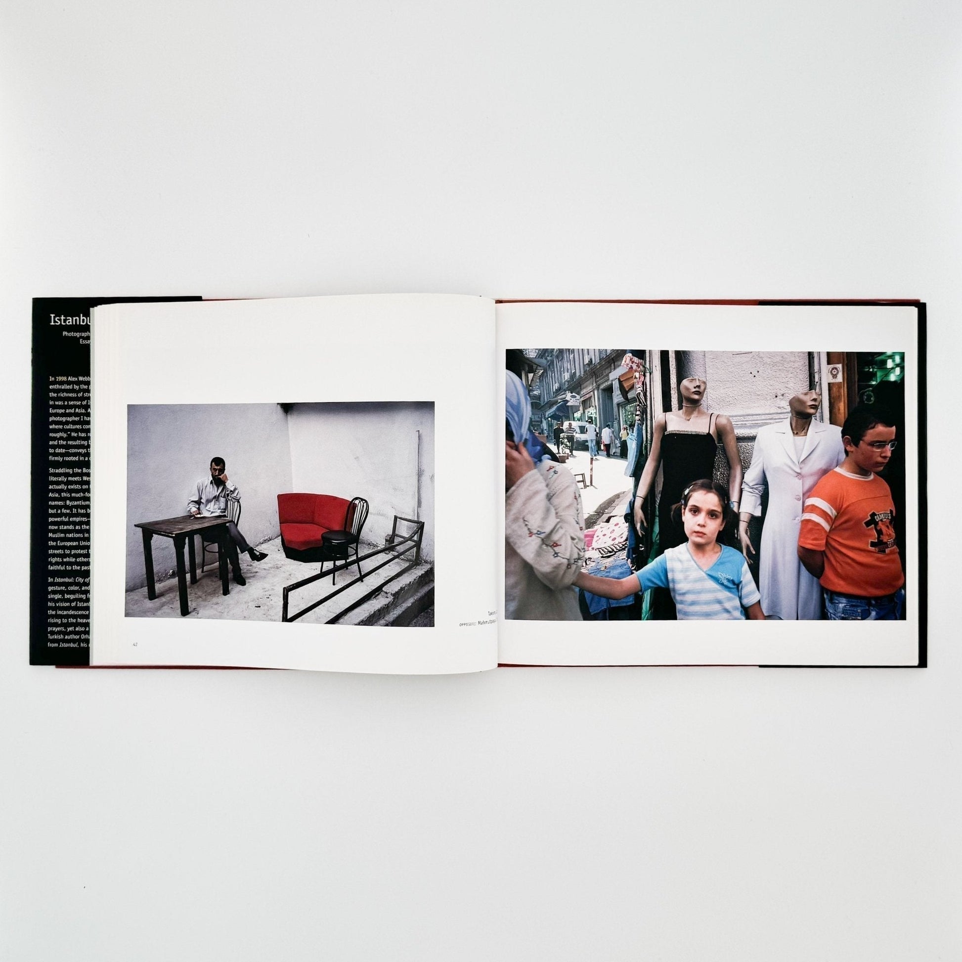 (英文）アレックス・ウェブ　Alex Webb: Istanbul City of a Hundred Names - Aperture - 文福