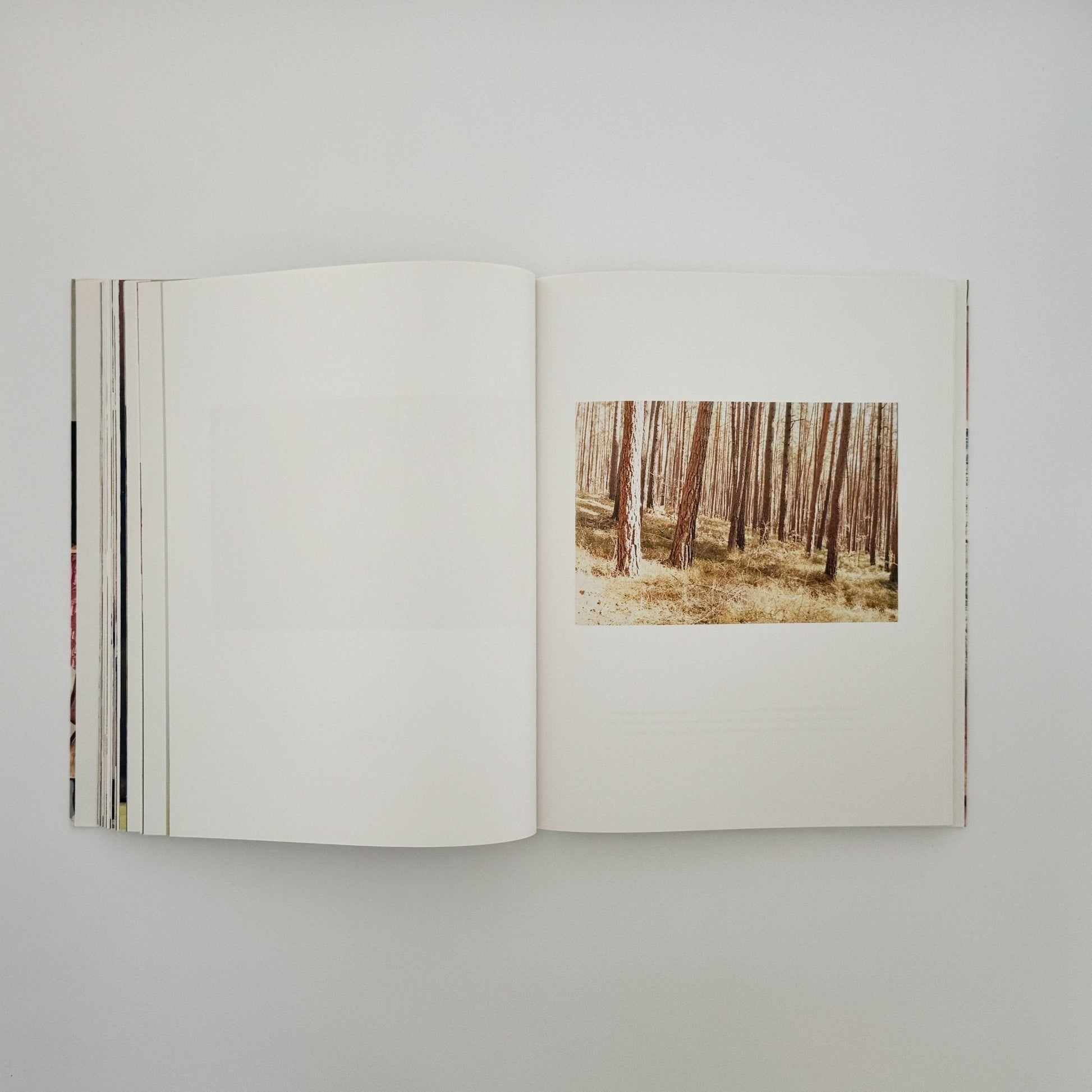 (英文) ユルゲン・テラー Juergen TELLER　Woo! - Steidl - 文福