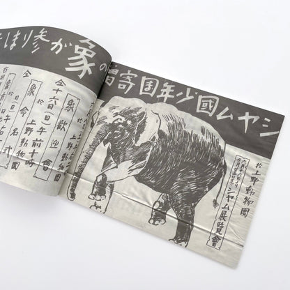 記録集 はな子のいる風景：イメージを（ひっ）くりかえす - 文福