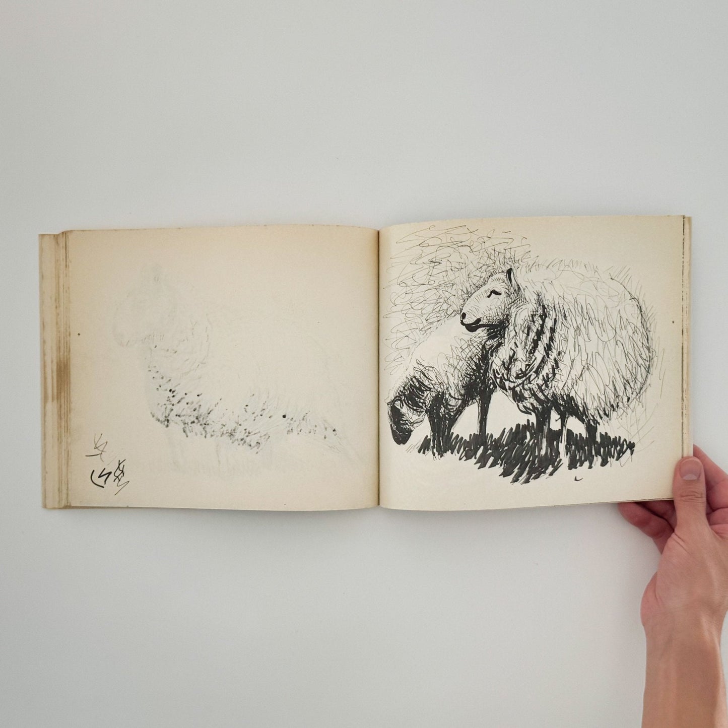 ヘンリー・ムーア　羊のスケッチブック Henry Moore's Sheep Sketchbook - 文福