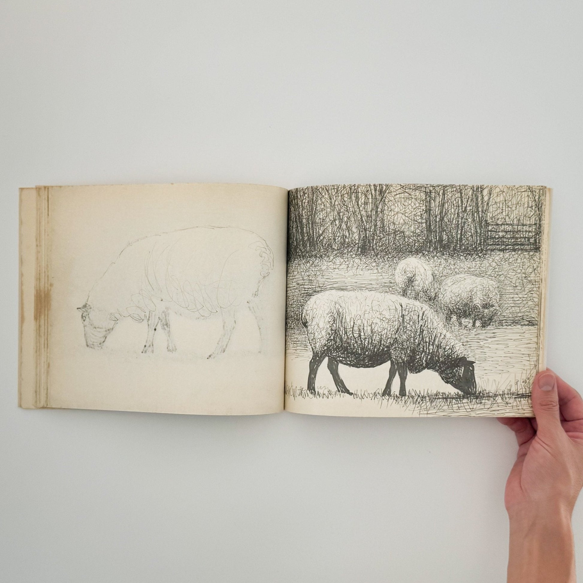 ヘンリー・ムーア　羊のスケッチブック Henry Moore's Sheep Sketchbook - THAMES AND HUDSON - 文福