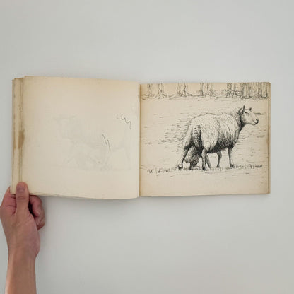 ヘンリー・ムーア　羊のスケッチブック Henry Moore's Sheep Sketchbook - THAMES AND HUDSON - 文福