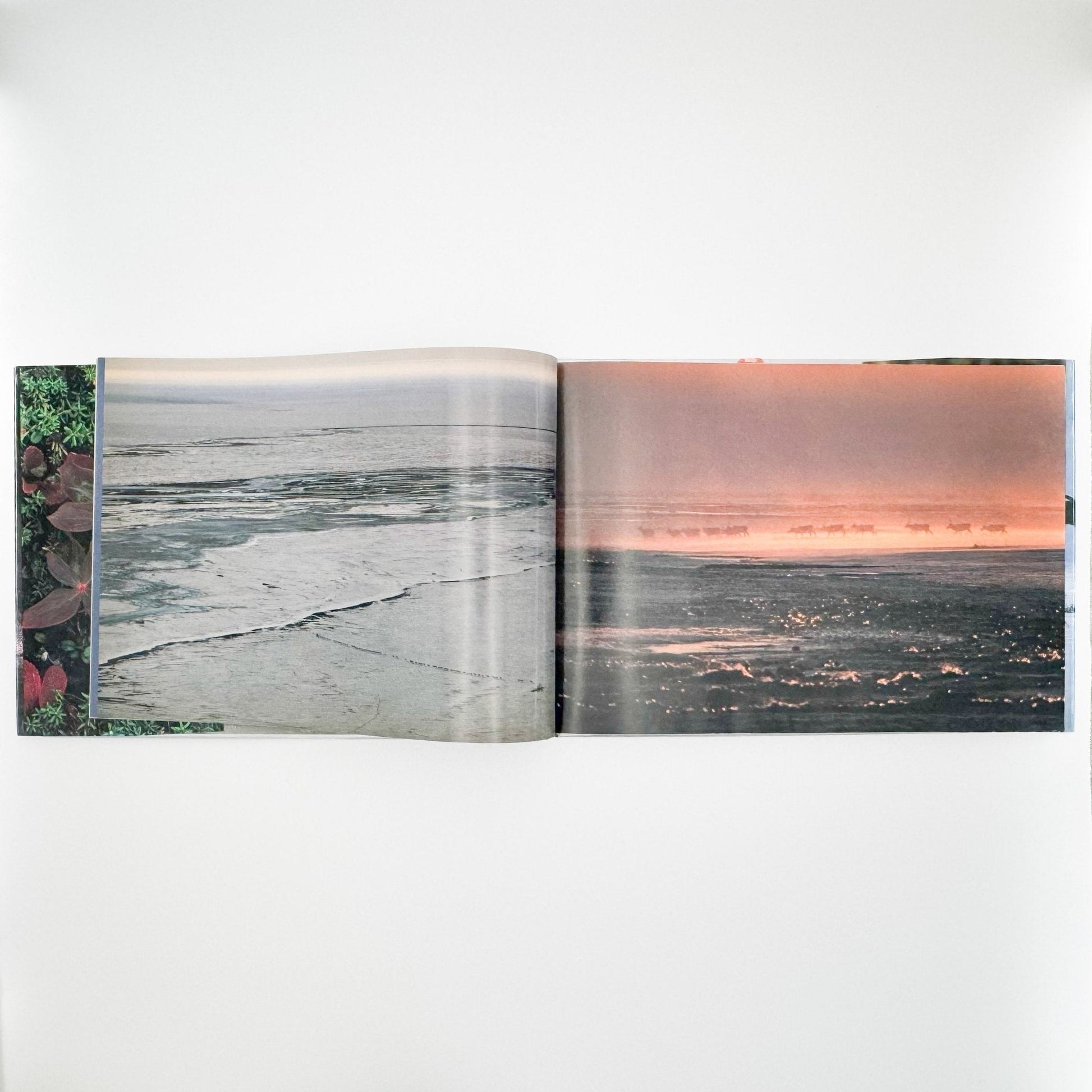 星野道夫　Alaska アラスカ　極北・生命の地図（サイン入り） - 朝日新聞社 - 文福