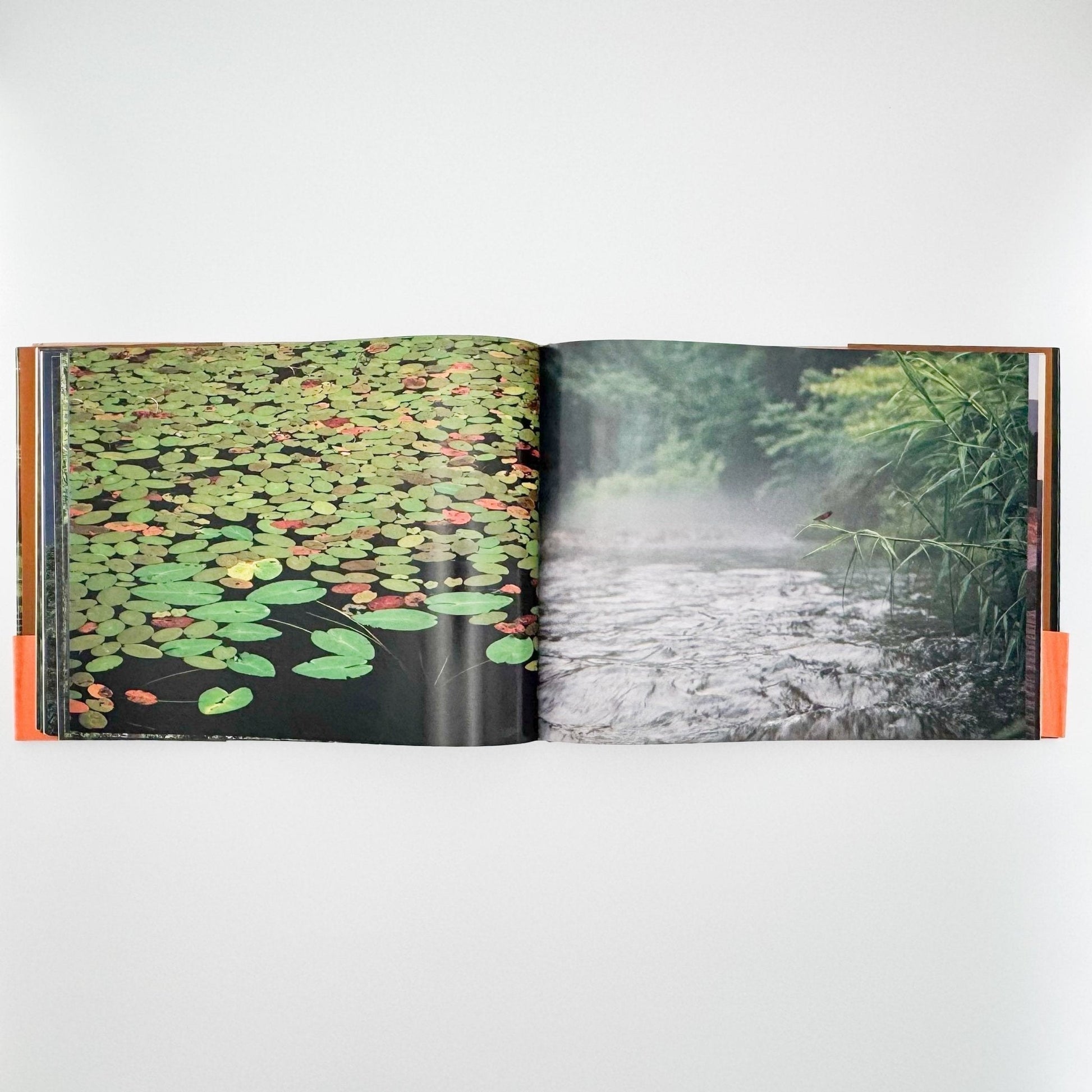 今森光彦　里山物語　In Harmony with Neighboring Nature - 新潮社 - 文福