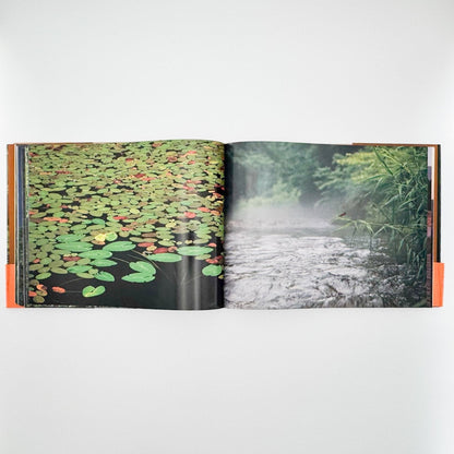 今森光彦　里山物語　In Harmony with Neighboring Nature - 新潮社 - 文福