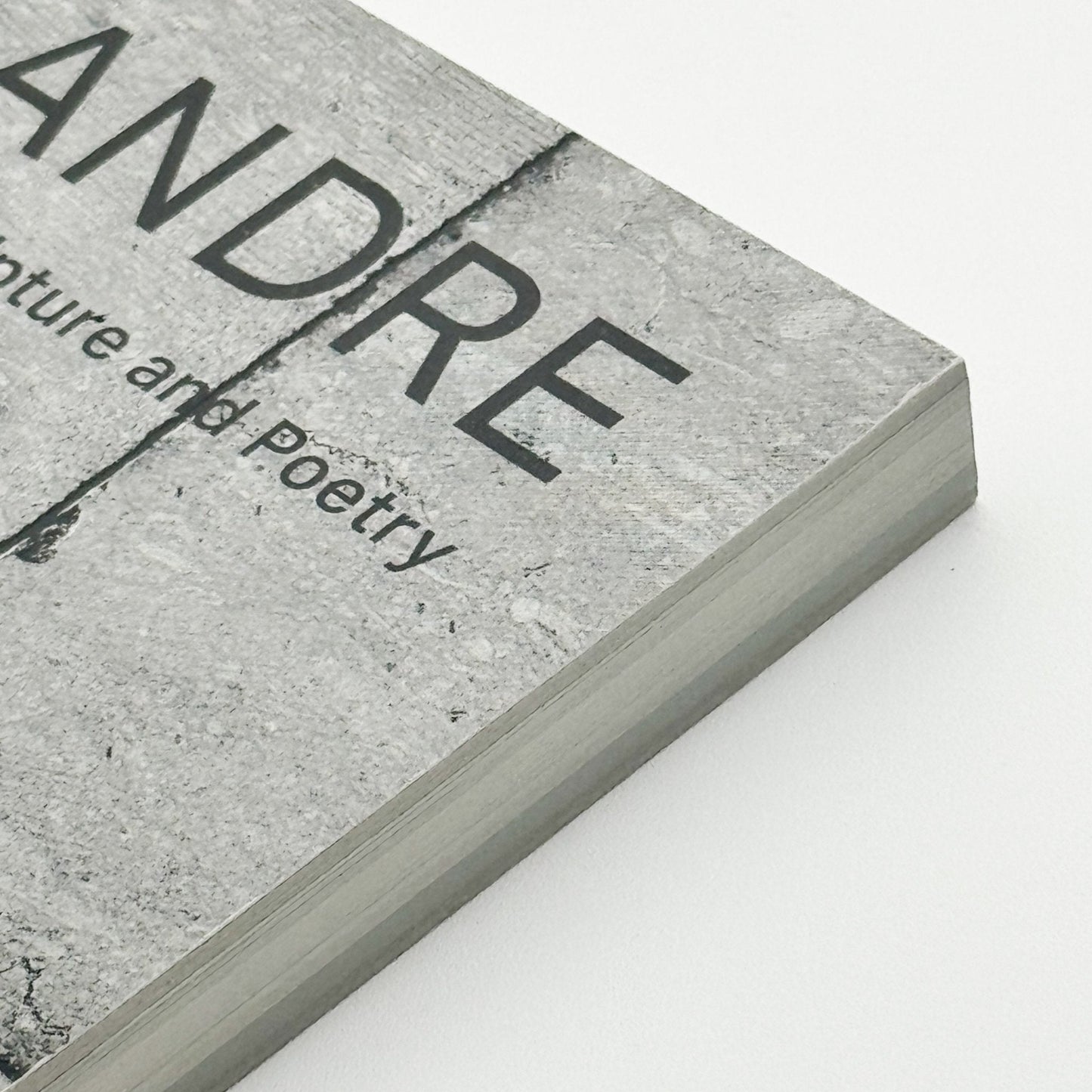 カール・アンドレ　CARL ANDRE: Between Sculpture and Poetry - torch press - 文福