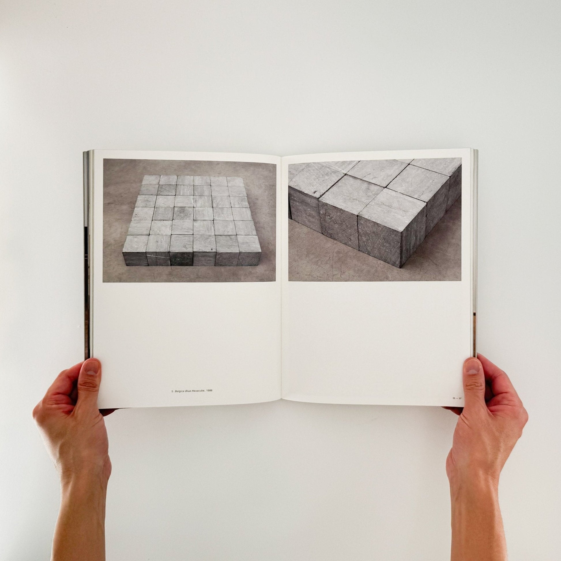 カール・アンドレ　CARL ANDRE: Between Sculpture and Poetry - torch press - 文福