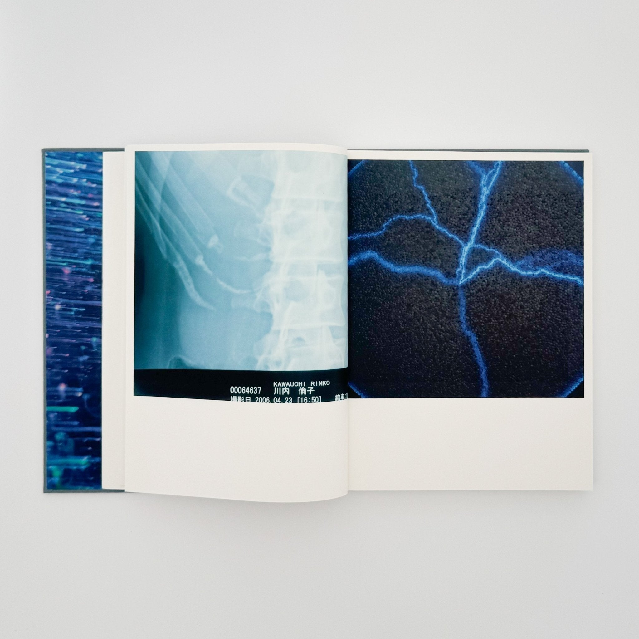 川内伦子写真集IIlluminance / Foil – 文福