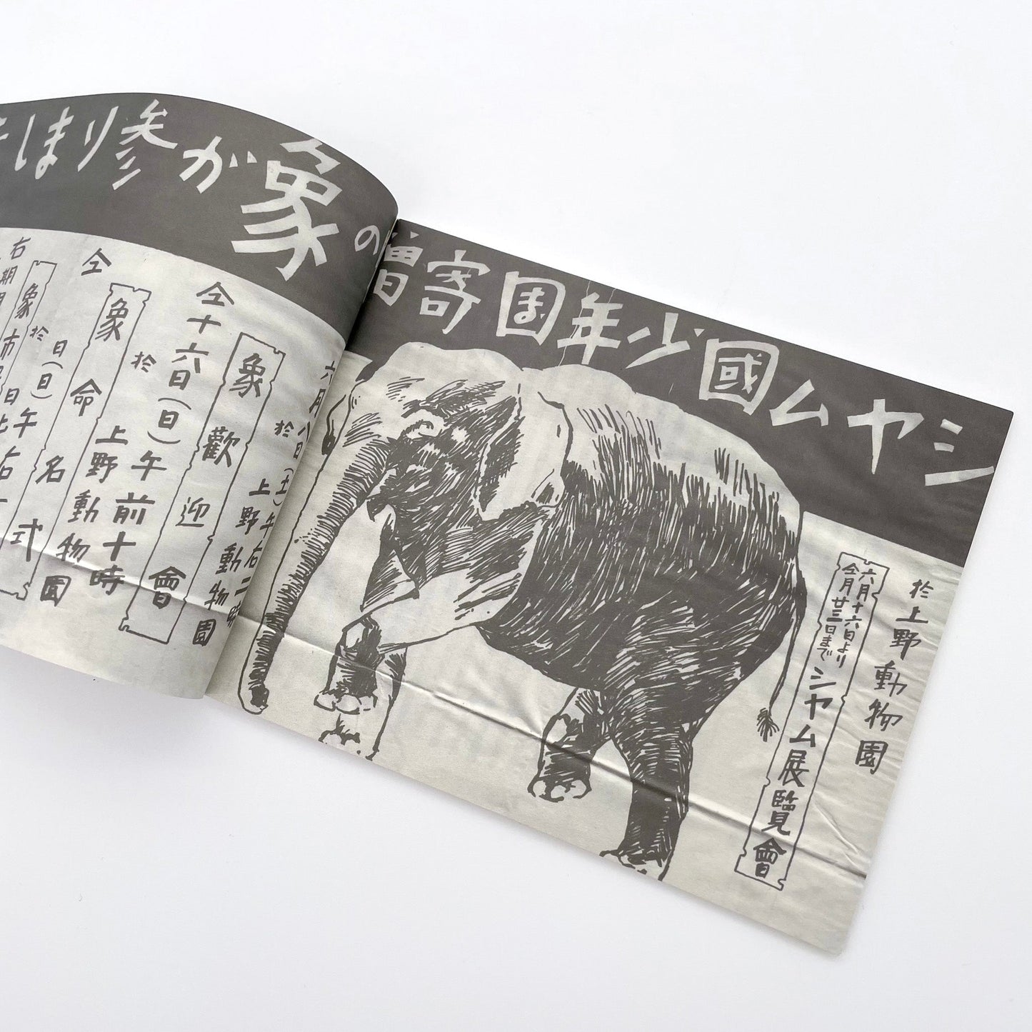 記録集 はな子のいる風景：イメージを（ひっ）くりかえす - 武蔵野市立吉祥寺美術館 - 文福