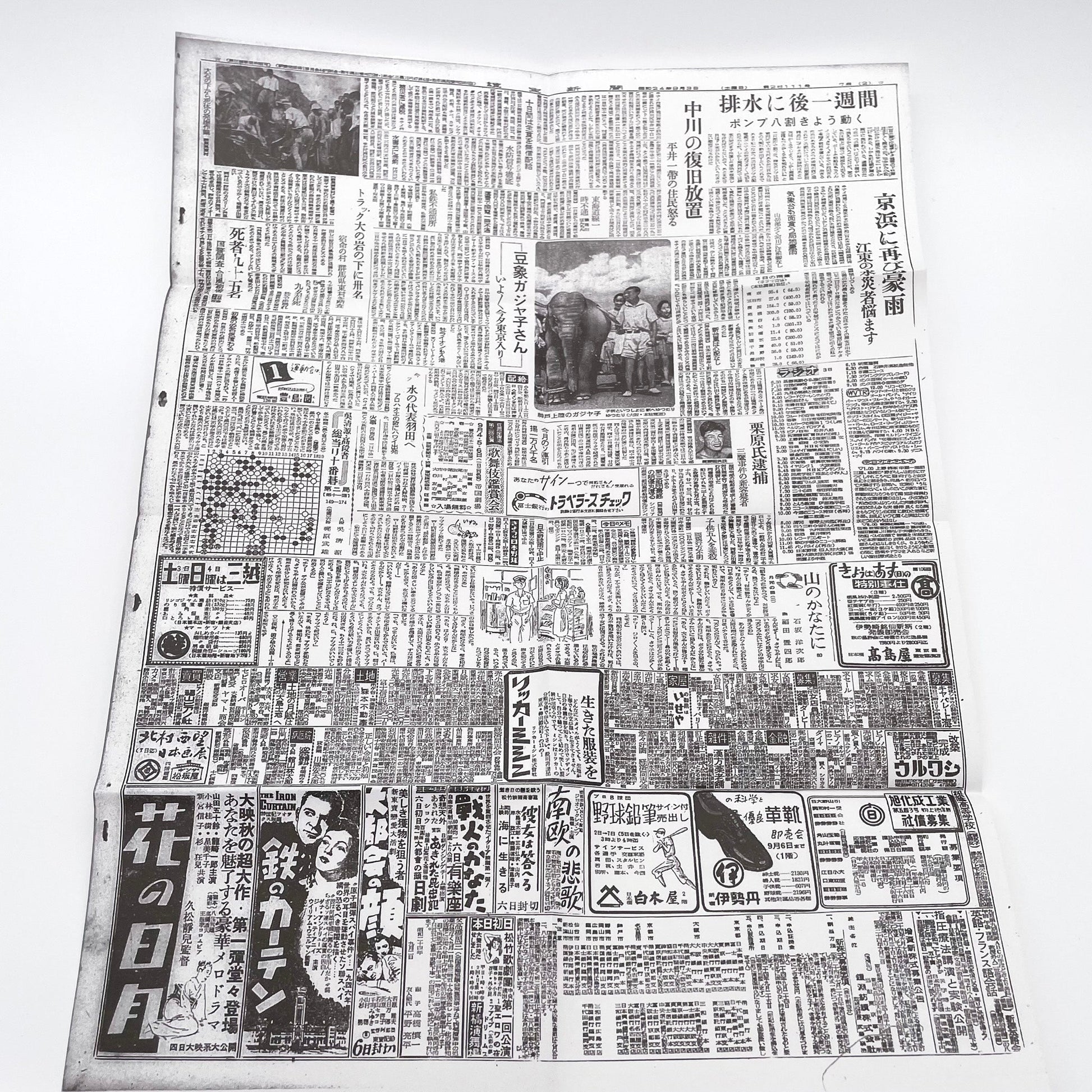 記録集 はな子のいる風景：イメージを（ひっ）くりかえす - 武蔵野市立吉祥寺美術館 - 文福