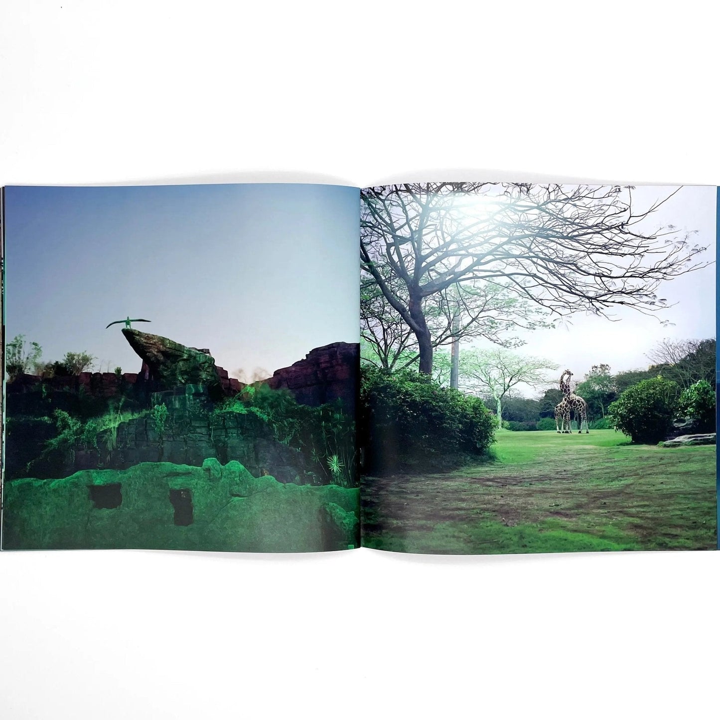 李政徳写真集　INVISIBLE WORLD - STAIRS PRESS - 文福