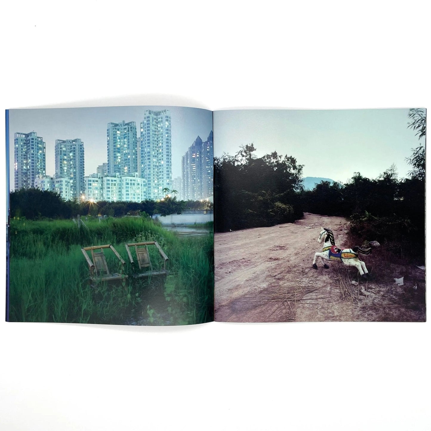 李政徳写真集　INVISIBLE WORLD - STAIRS PRESS - 文福