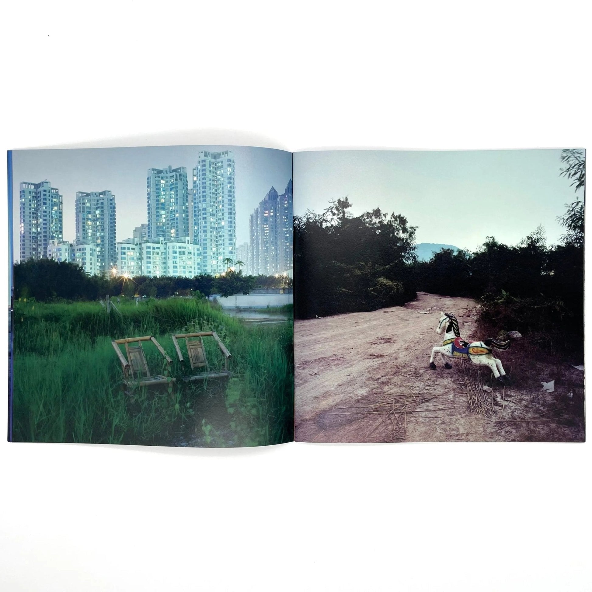 李政徳写真集　INVISIBLE WORLD - STAIRS PRESS - 文福