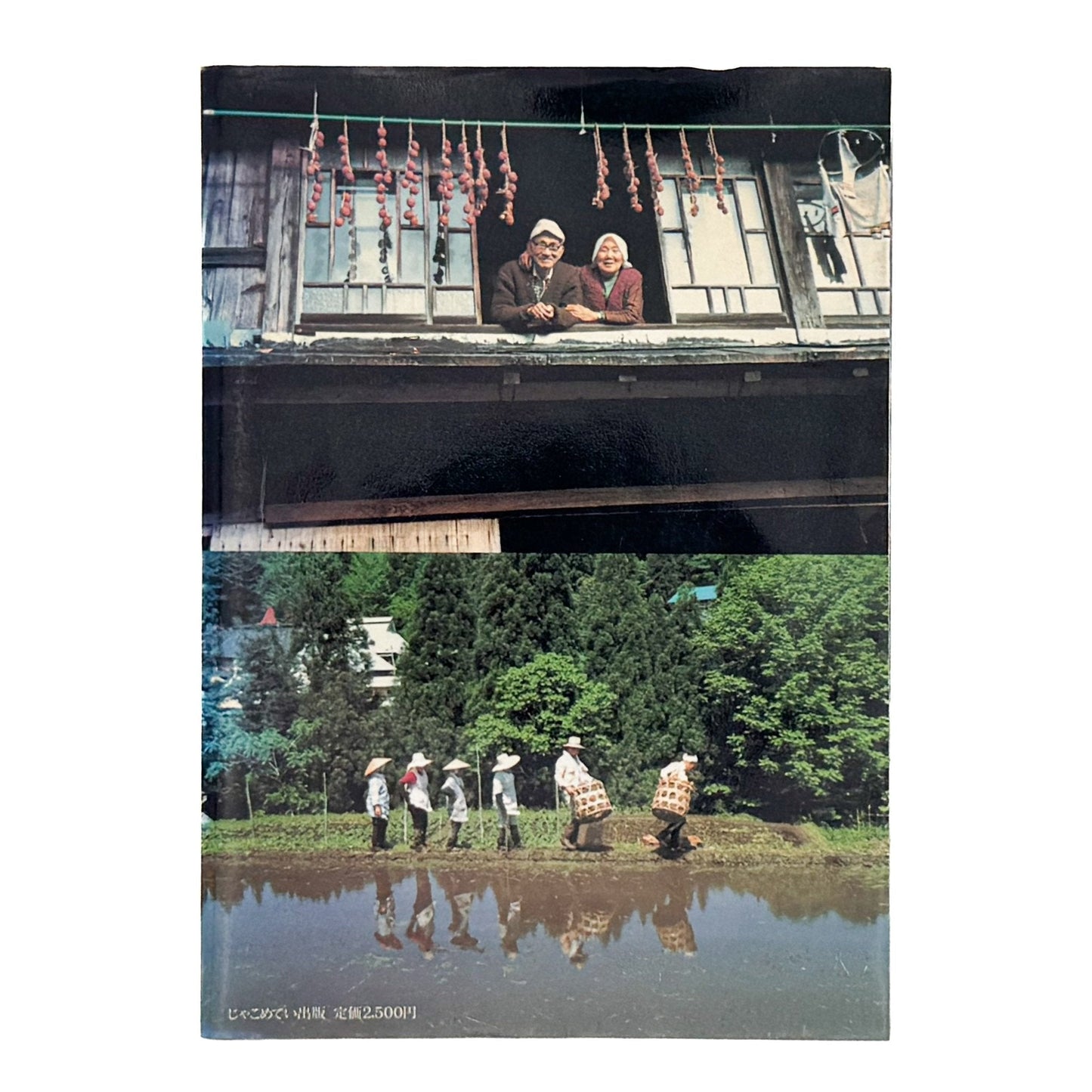 増山たづ子　故郷：私の徳山村写真日記 - じゃこめてい出版 - 文福