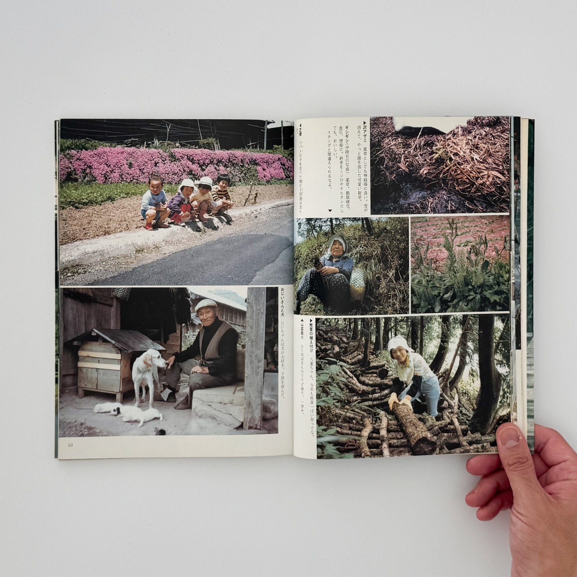 増山たづ子　故郷：私の徳山村写真日記 - じゃこめてい出版 - 文福