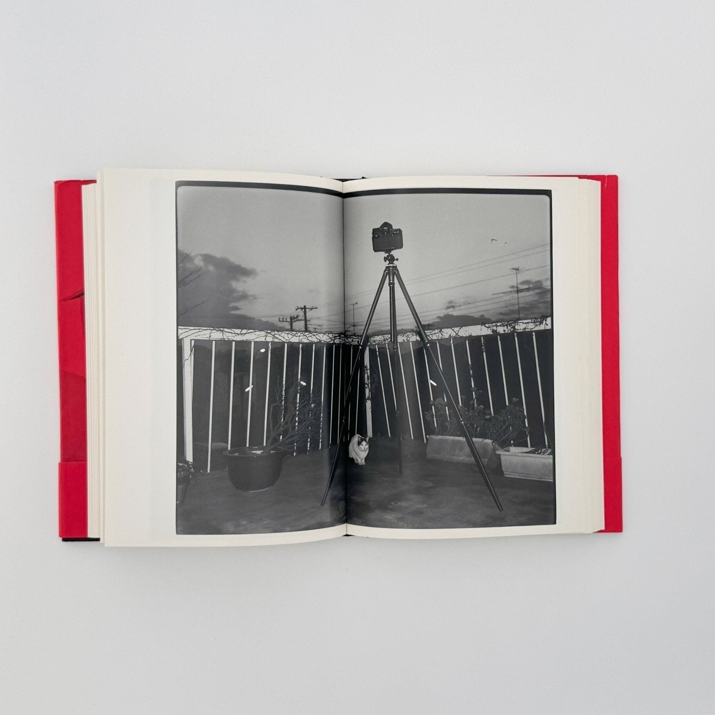 荒木経惟　写真私情主義 - 平凡社 - 文福