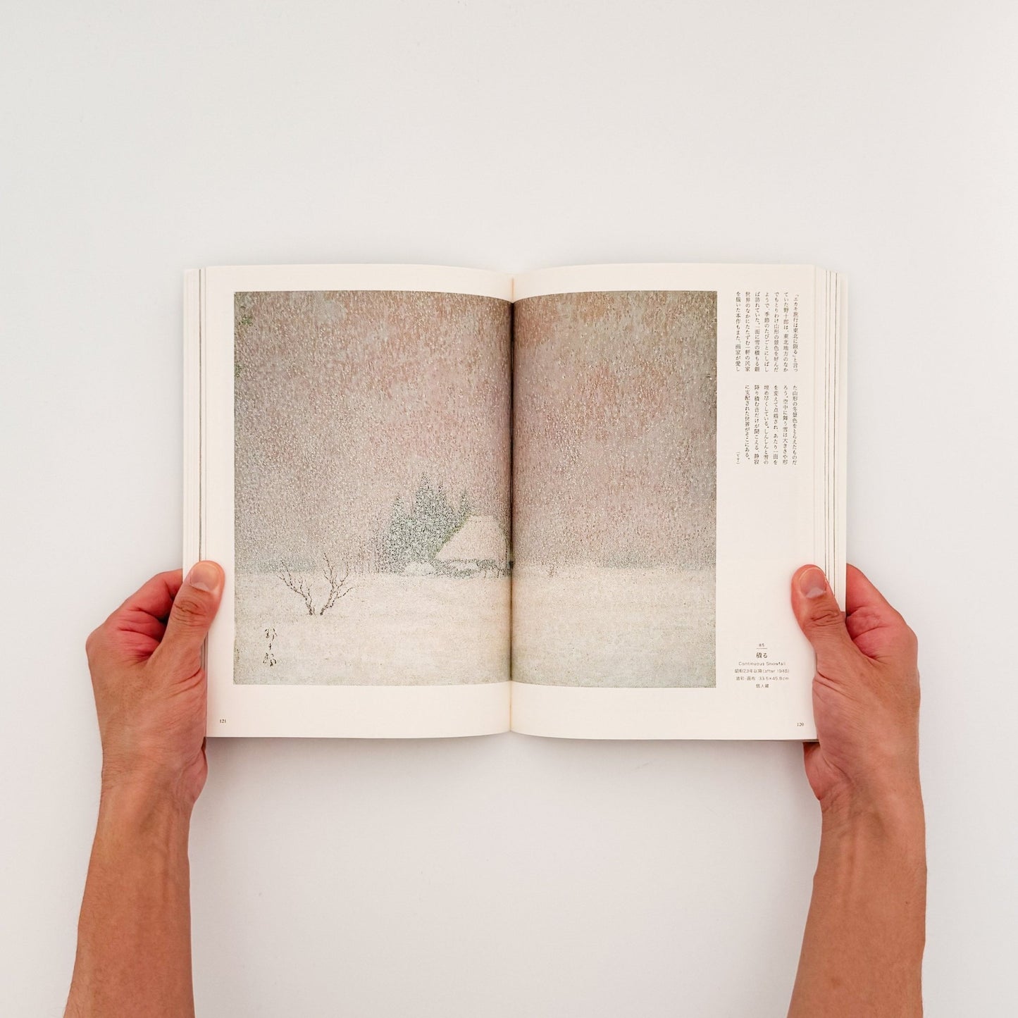 髙島野十郎　光と闇、魂の軌跡 - 髙野野十郎 / TAKASHIMA Yajuro - 文福