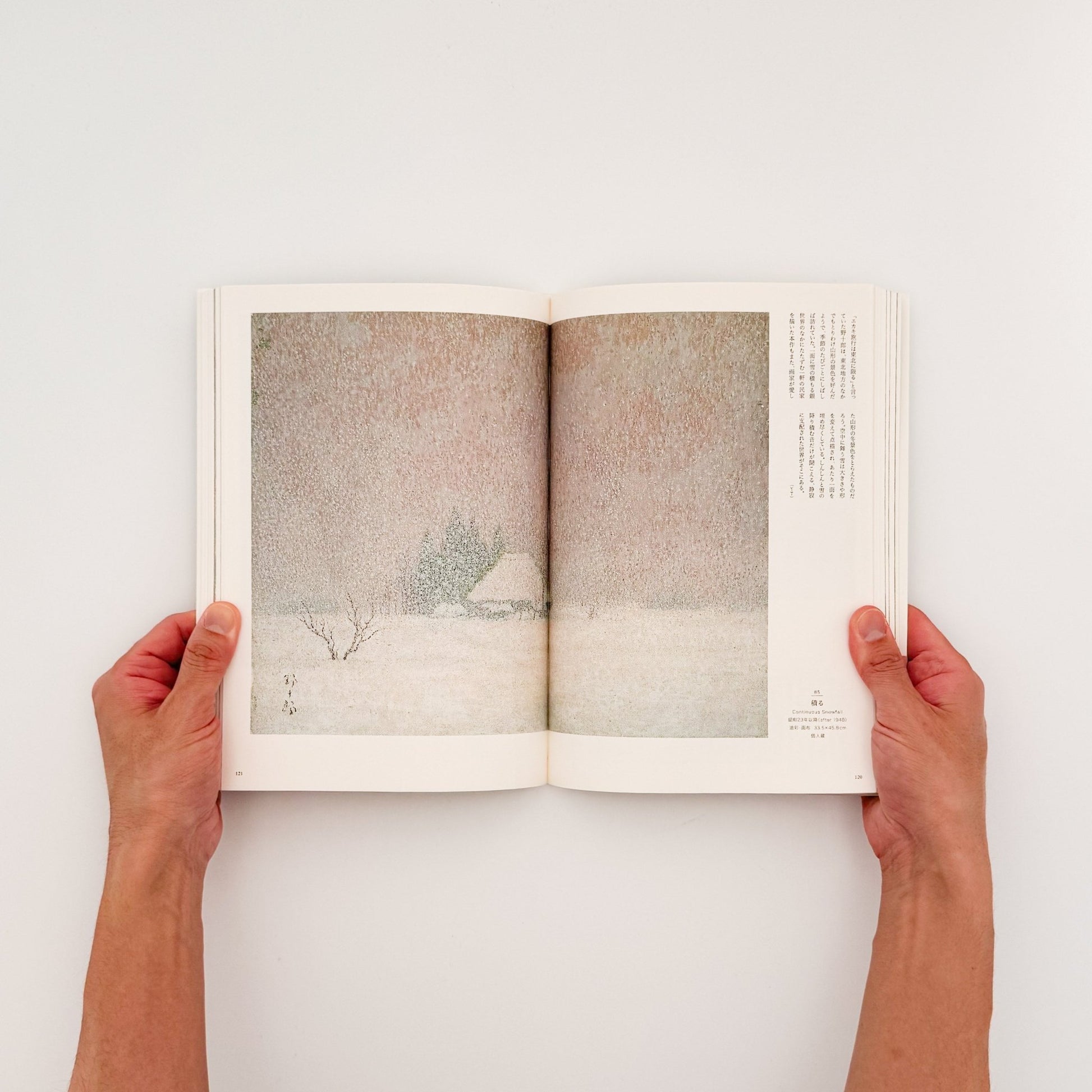 髙島野十郎　光と闇、魂の軌跡 - 髙野野十郎 / TAKASHIMA Yajuro - 文福