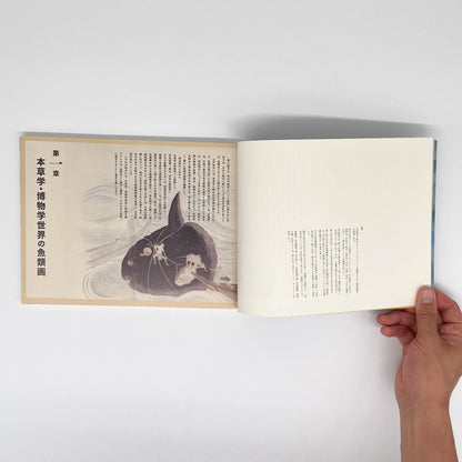 大野麥風展　「大日本魚類画集」と博物画にみる魚たち - 東京ステーションギャラリー - 文福
