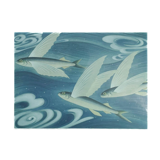 大野麥風展　「大日本魚類画集」と博物画にみる魚たち - 東京ステーションギャラリー - 文福