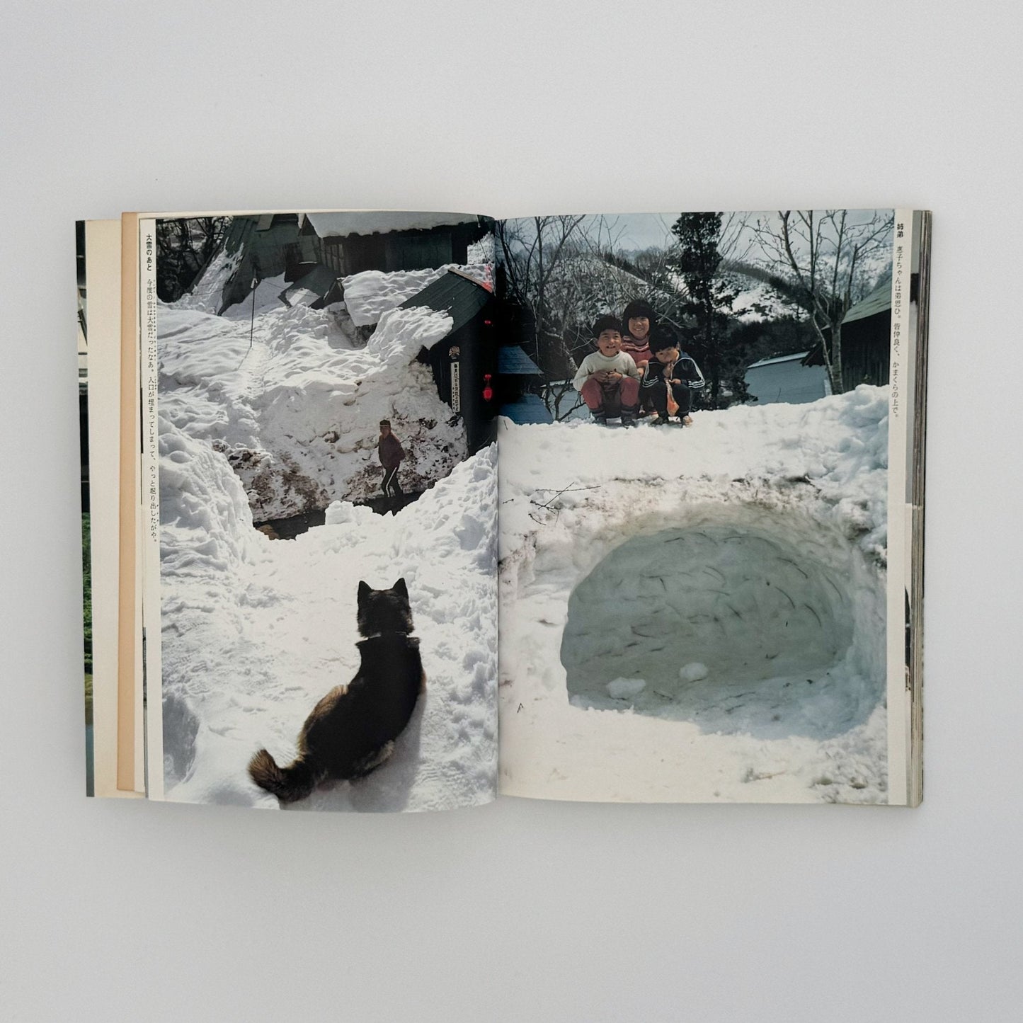 増山たづ子　故郷：私の徳山村写真日記 - じゃこめてい出版 - 文福