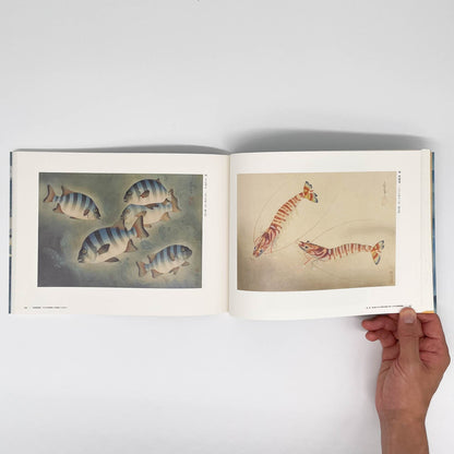 大野麥風展　「大日本魚類画集」と博物画にみる魚たち - 東京ステーションギャラリー - 文福