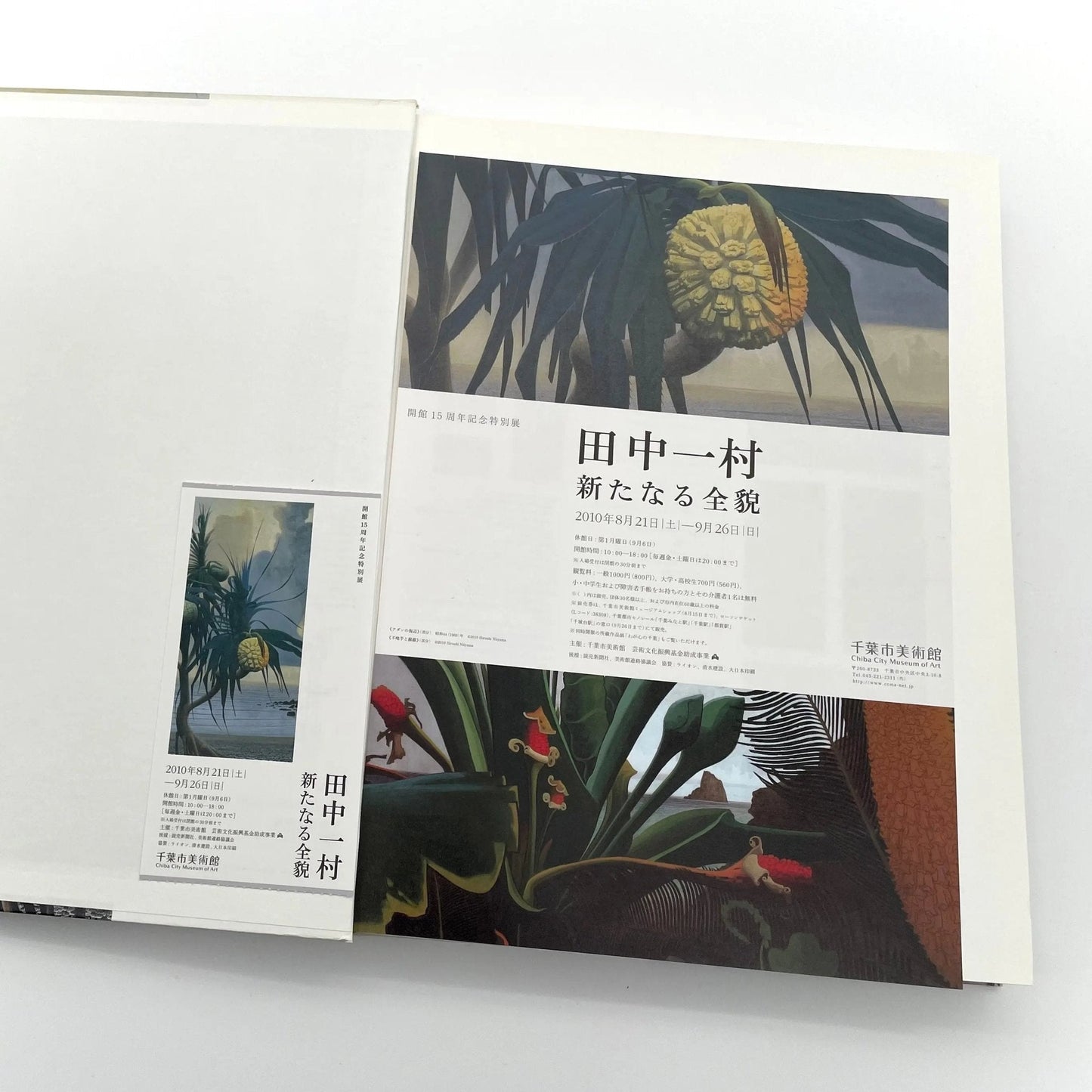 田中一村　新たなる全貌 - 求龍堂 - 文福